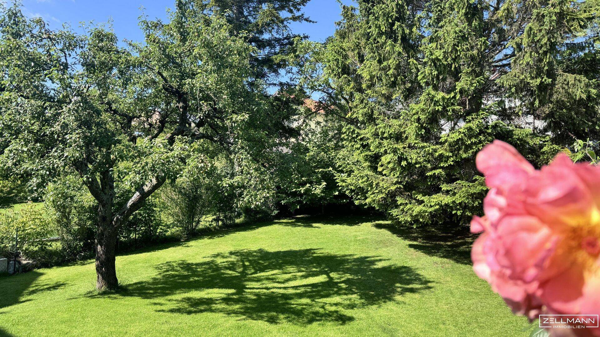 Großer, gepflegter Garten mit altem Baumbestand und weitläufiger Rasenfläche unter blauem Himmel.