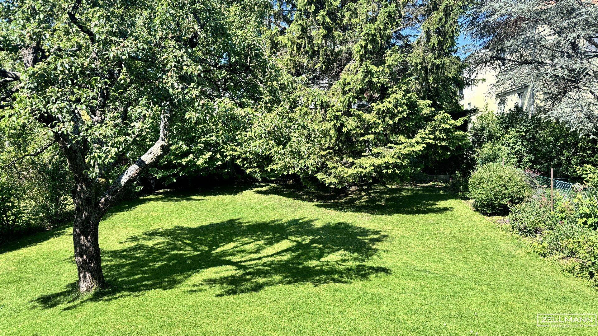 Weitläufiger Garten mit sattgrünem Rasen und schattenspendenden Bäumen an einem sonnigen Tag.