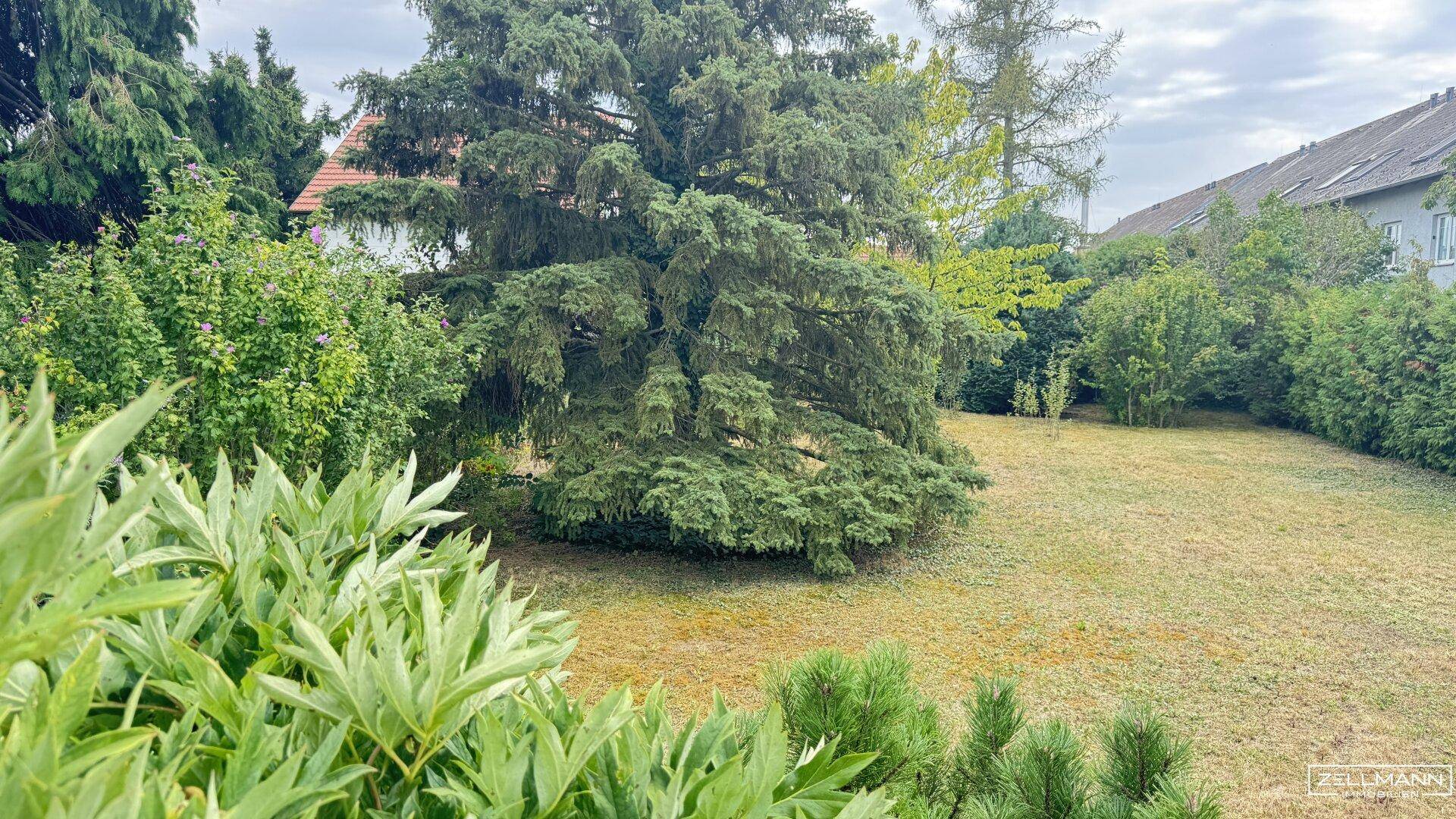 Grüner Gartenbereich mit üppigen Bäumen und Sträuchern, umgeben von einer natürlichen Landschaft.