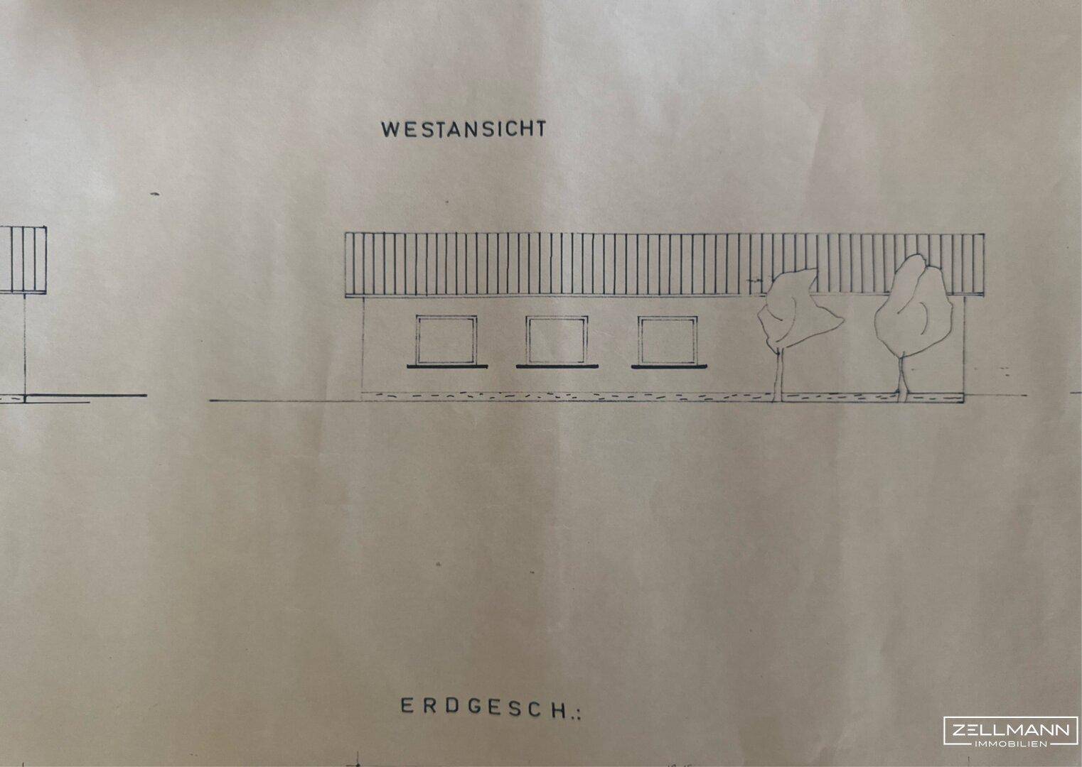 Westansicht des Gebäudes im Erdgeschoss mit mehreren Fenstern und schlichter Fassade.