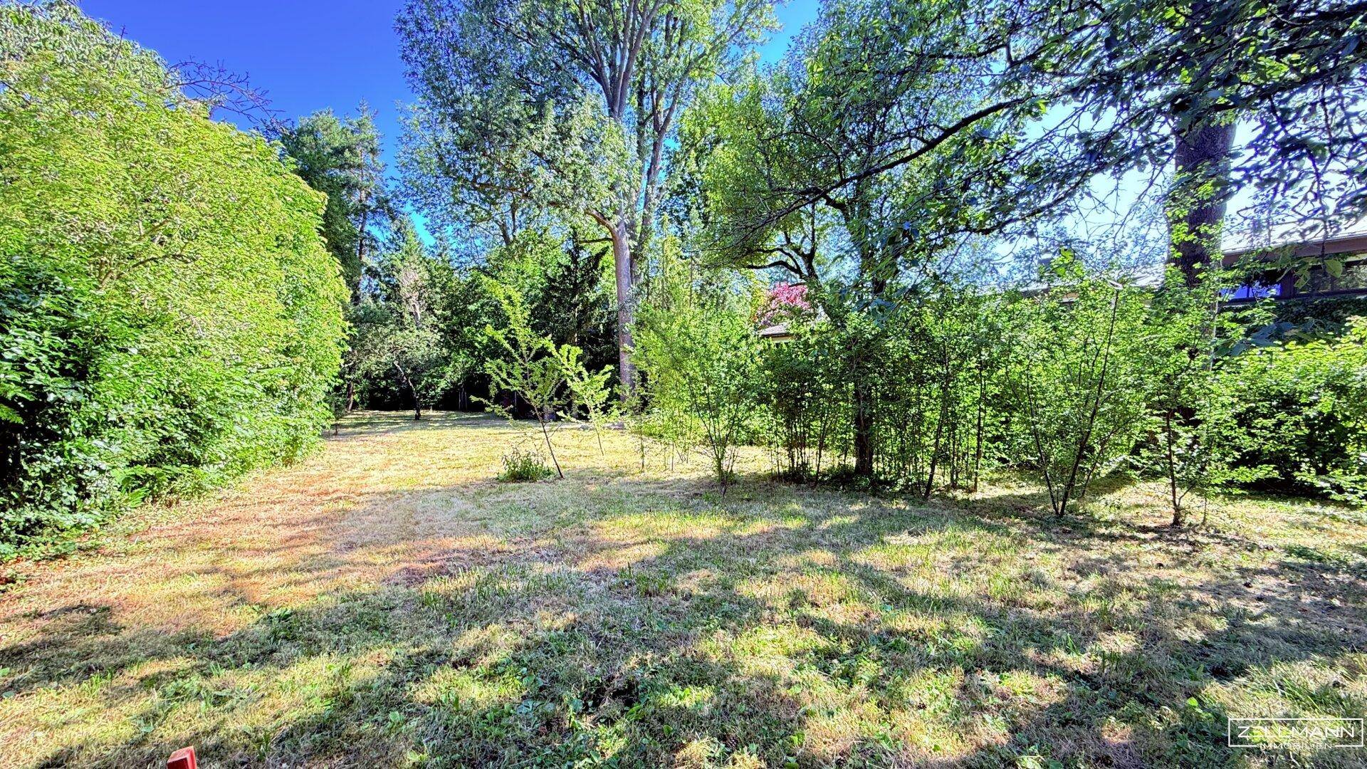Großer Gartenbereich mit Rasenfläche und verschiedenen Bäumen unter blauem Himmel.