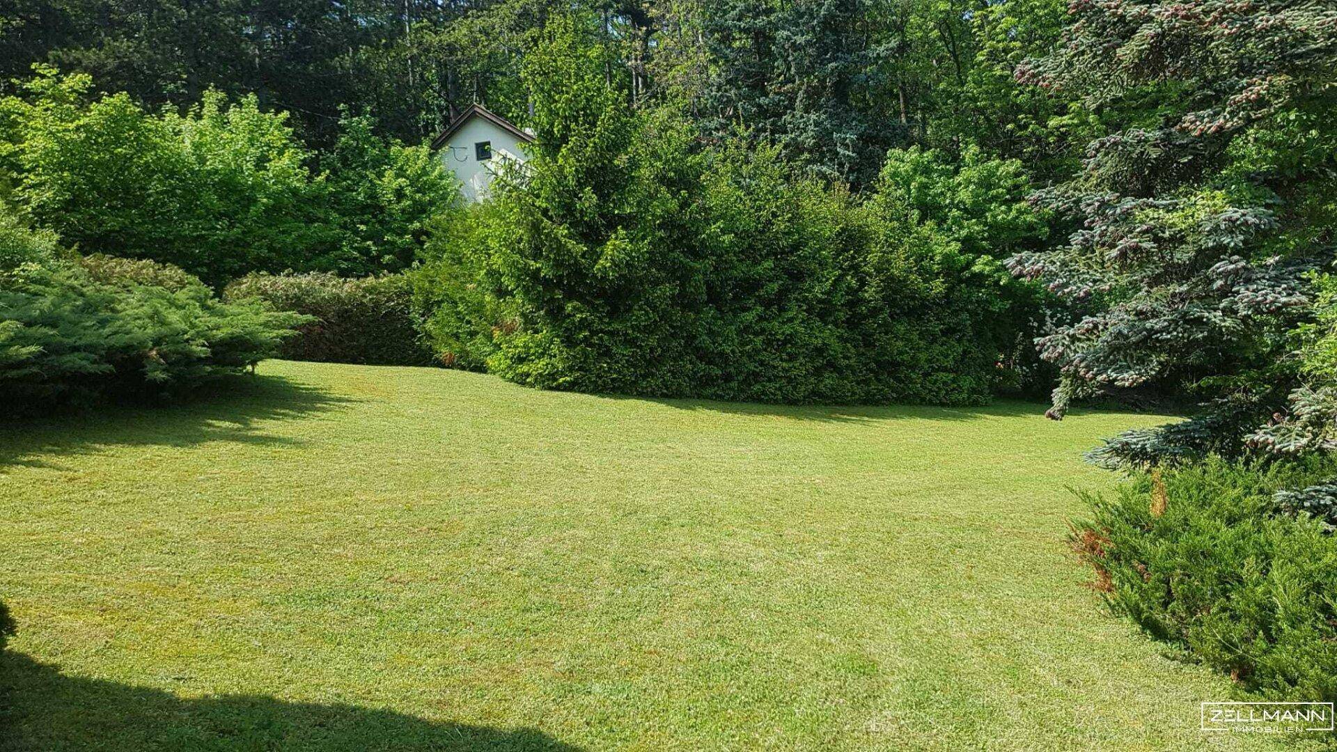 Gepflegte Rasenfläche umgeben von dichten Bäumen und Sträuchern, mit einem Haus im Hintergrund.