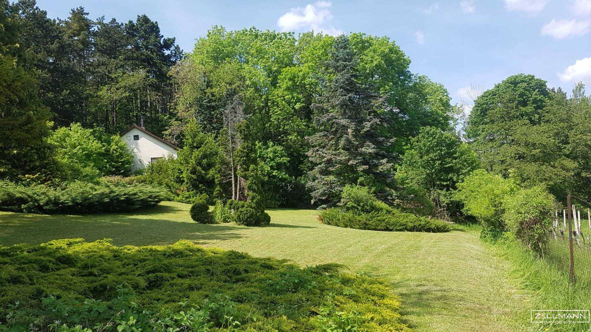 Ausgedehnte Gartenlandschaft mit vielfältiger Bepflanzung und einem versteckten Haus im Hintergrund.
