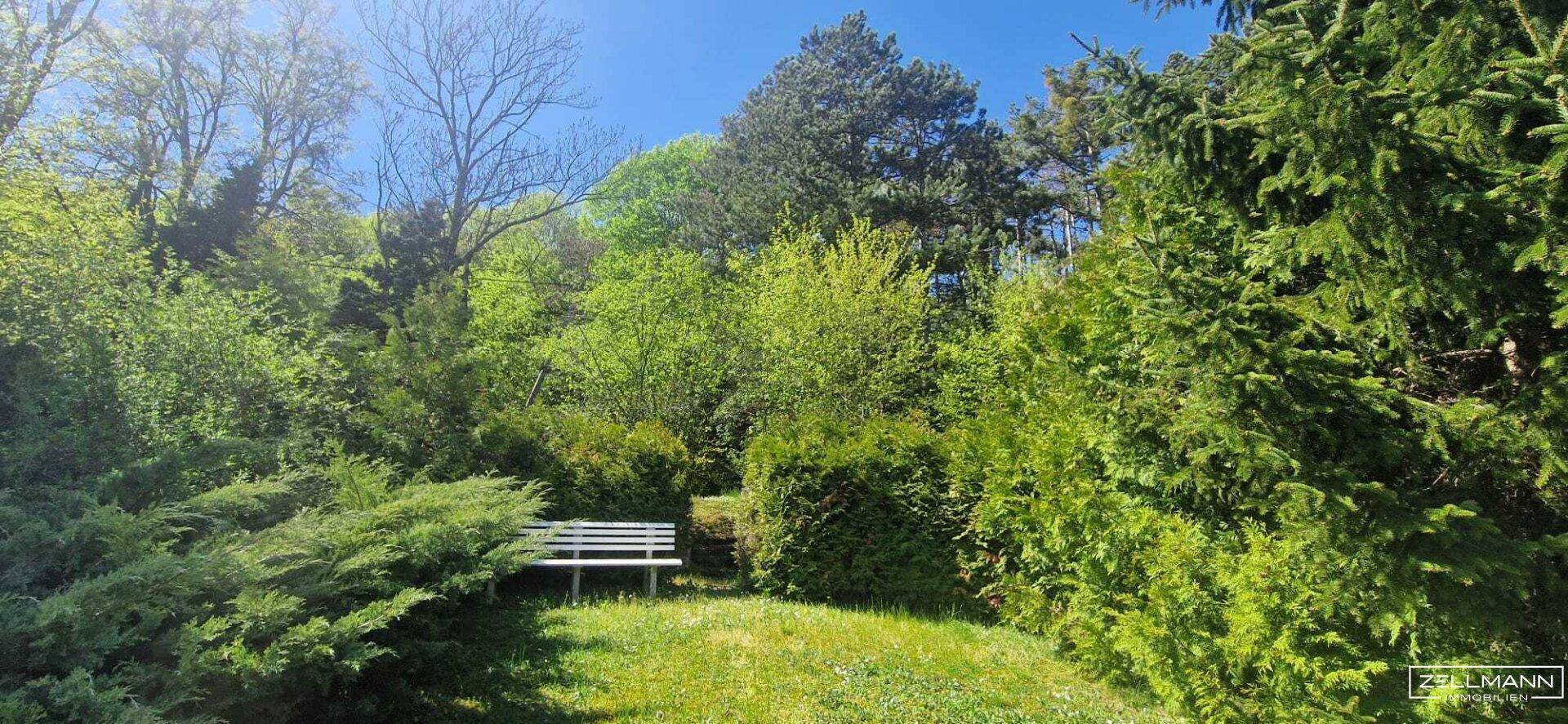 Eine weiße Gartenbank lädt zum Verweilen inmitten der üppigen grünen Bepflanzung ein.