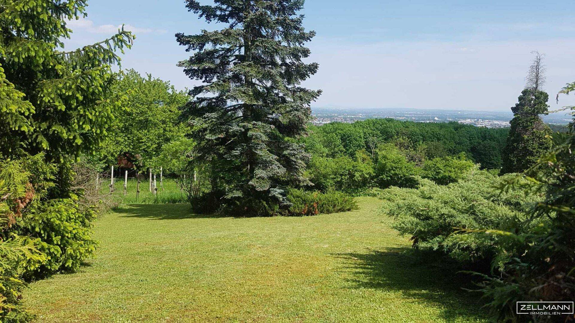 Weitläufiger Garten mit einem markanten Nadelbaum im Zentrum und weitem Blick über die grüne Landschaft.