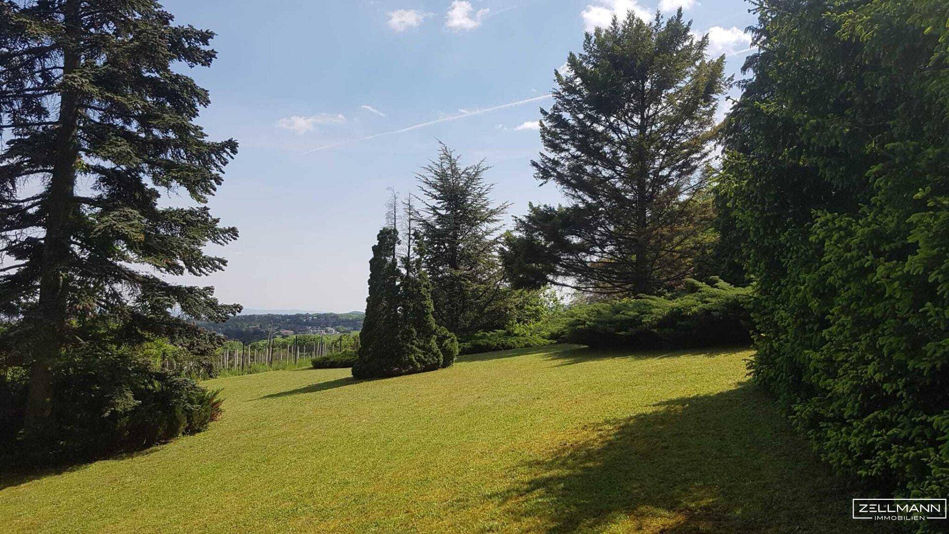 Sonnige Rasenfläche mit sanfter Neigung, umgeben von Bäumen und Sträuchern, mit Fernblick.