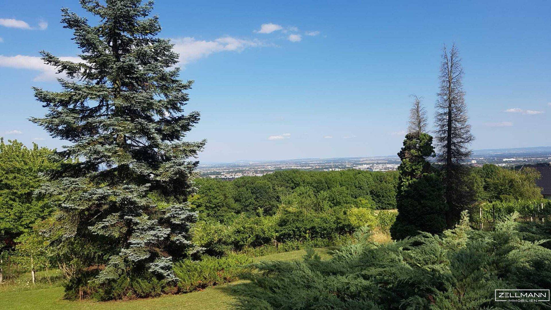 Grüner Garten mit hohen Bäumen und weitem Blick über die Landschaft bis zur Stadt am Horizont.
