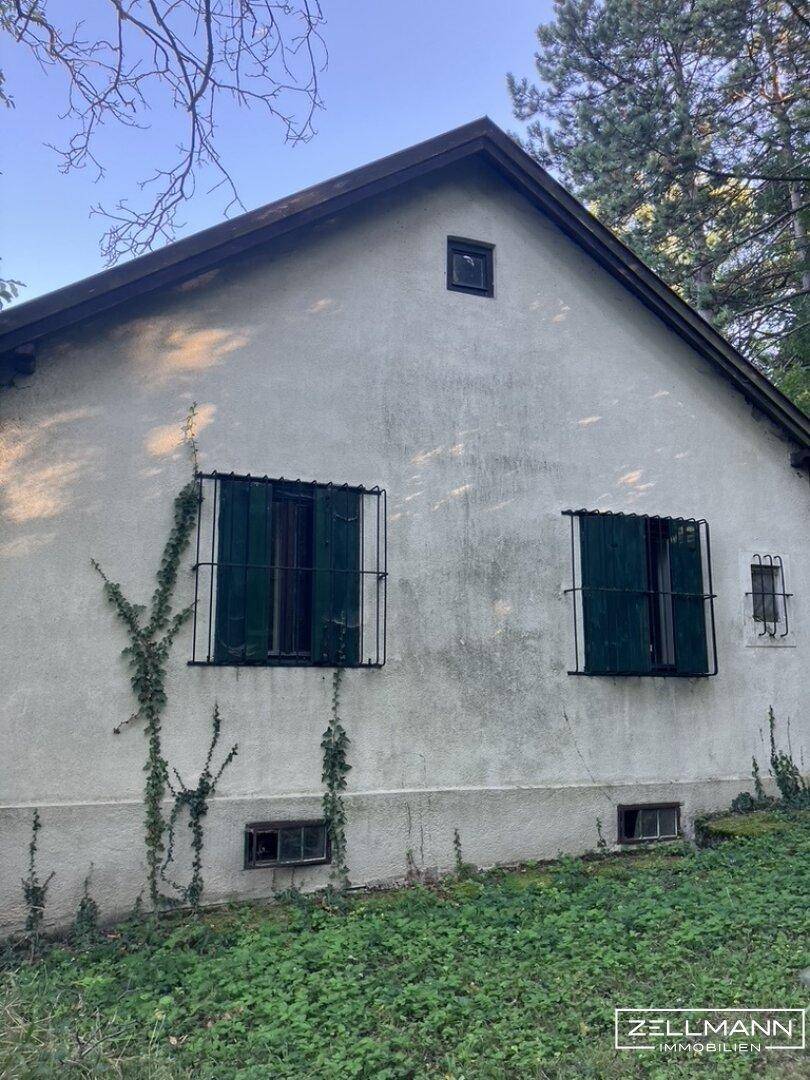 Seitenansicht des Hauses mit grünen Fensterläden, Sicherheitsgittern und Efeu an der Fassade.