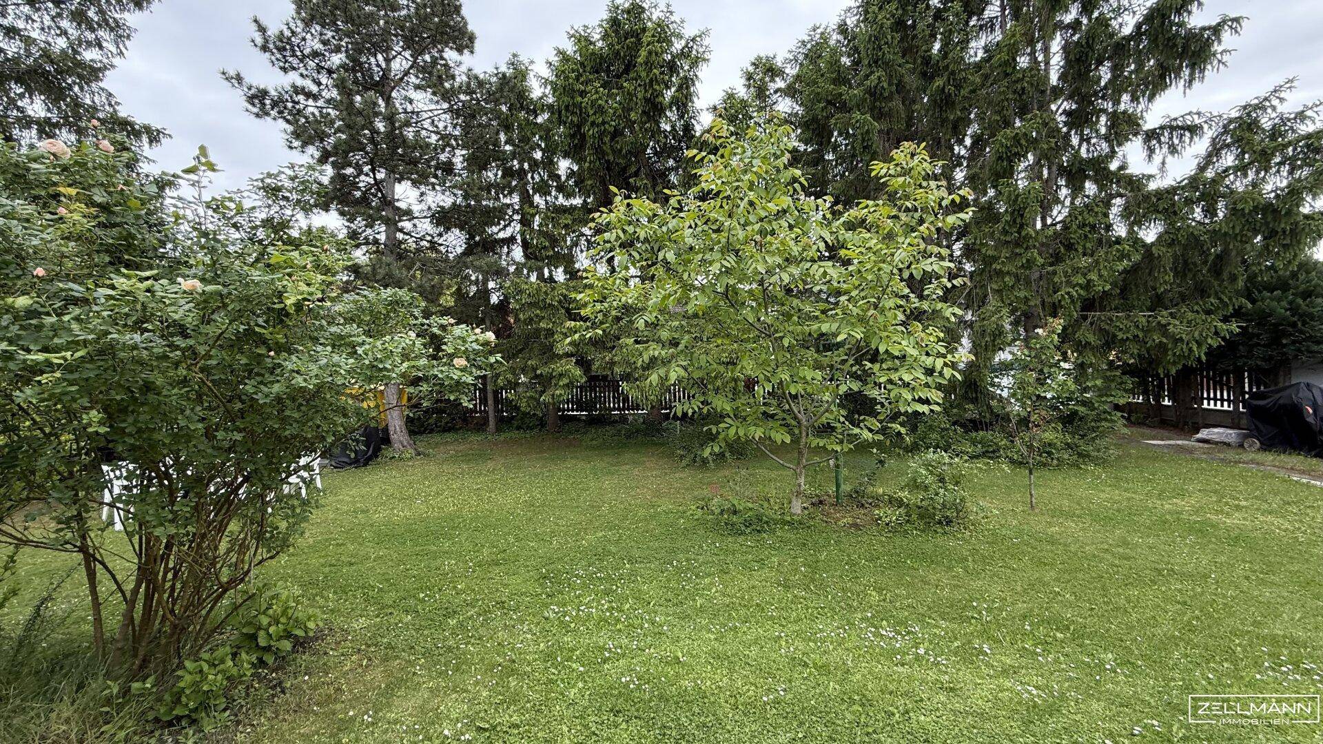 Weitläufiger Garten mit üppigem Grün, verschiedenen Bäumen und Sträuchern unter bewölktem Himmel.