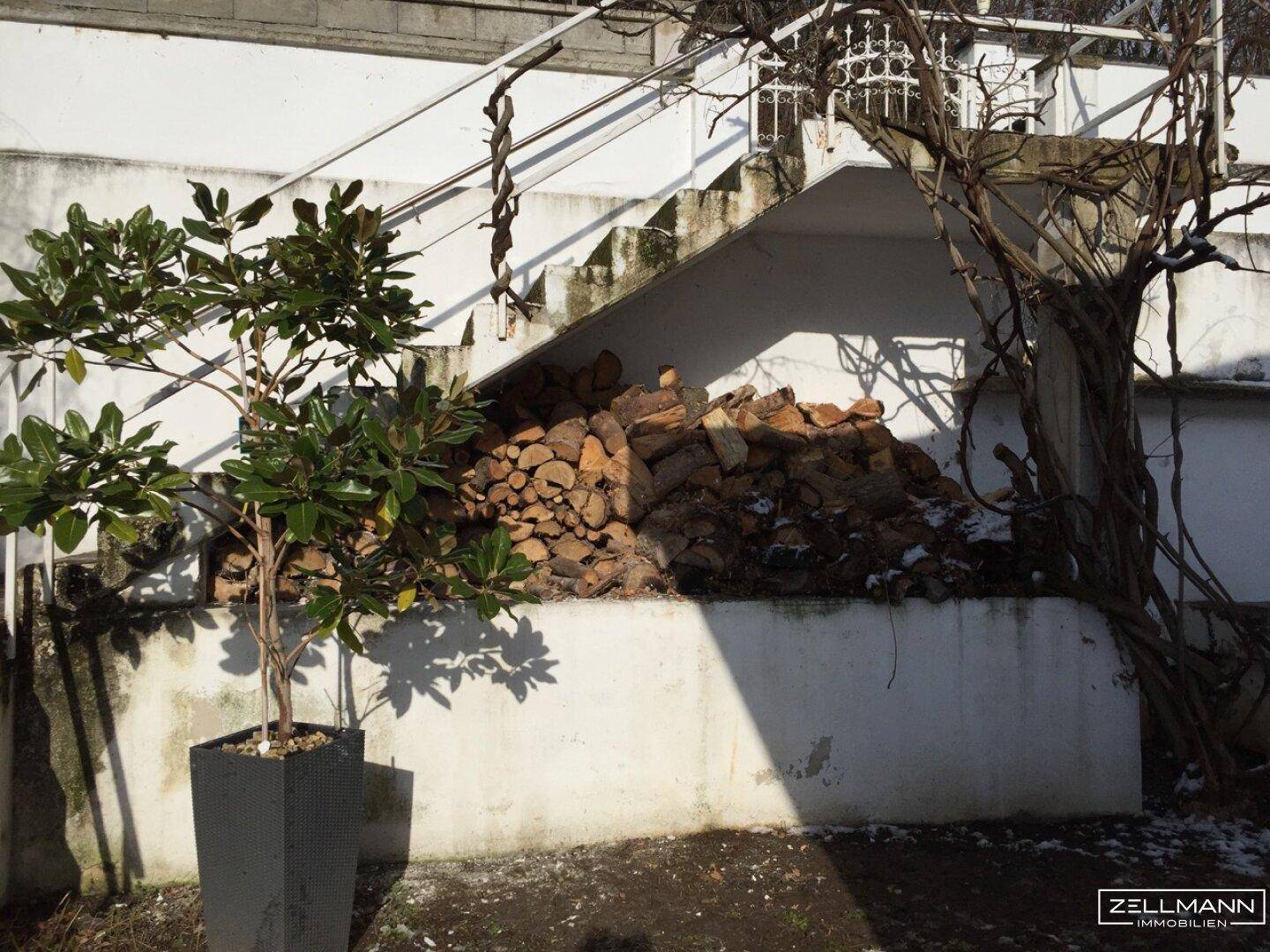 Außenbereich mit Holzstapel unter einer Treppe und Topfpflanze.