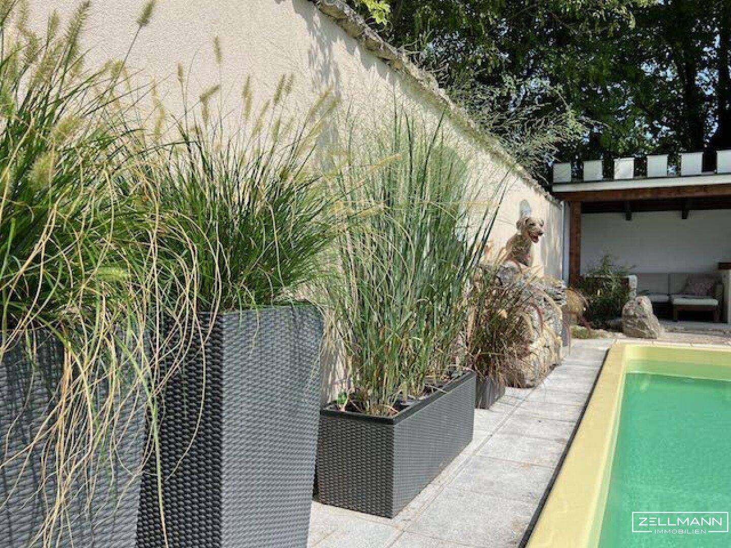 Poolbereich mit hohen Gräsern in Pflanzkübeln und einer Lounge-Ecke im Hintergrund.