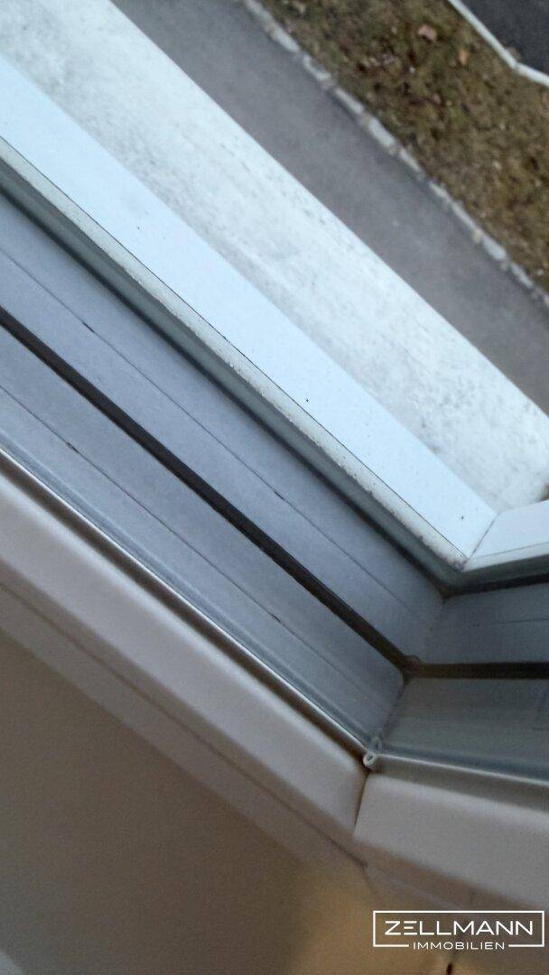 Nahaufnahme eines Fensters mit Blick auf den Außenbereich.