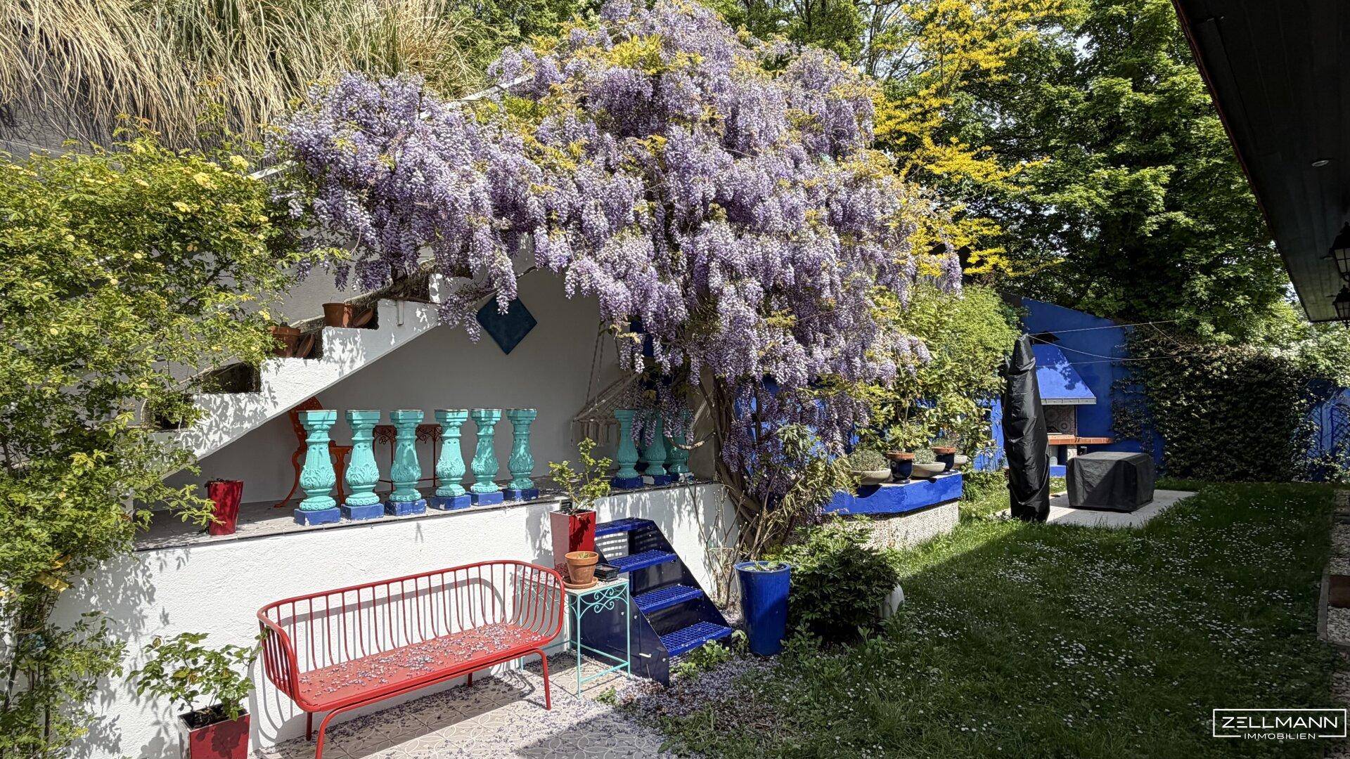 Farbenfroher Gartenbereich mit roter Bank und üppig blühendem Blauregen.