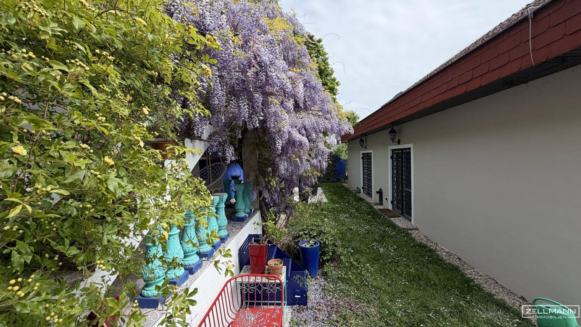 Seitenansicht des Hauses mit üppiger Glyzinienbepflanzung und einem farbenfrohen Gartenbereich.