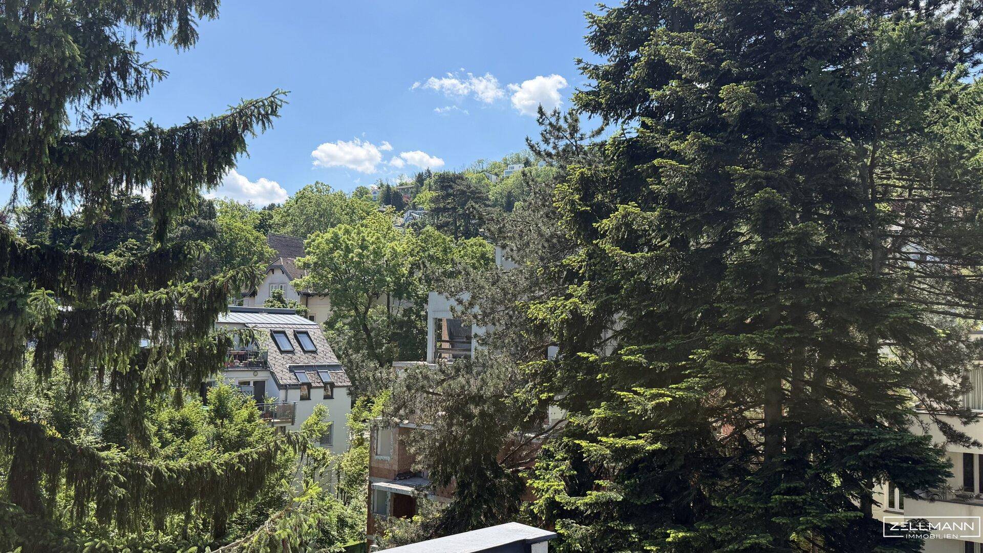 Weitläufiger Blick ins Grüne mit vielen Bäumen und Häusern am Hang unter blauem Himmel.
