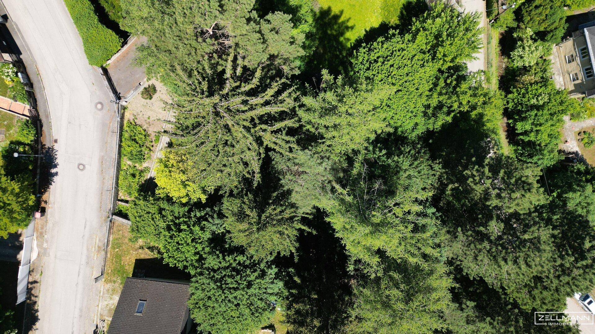 MAUERBACH-STEINBACH | tolles Baugrundstück Eigenheim mit 1071 m² | ZELLMANN IMMOBILIEN - Widok 3