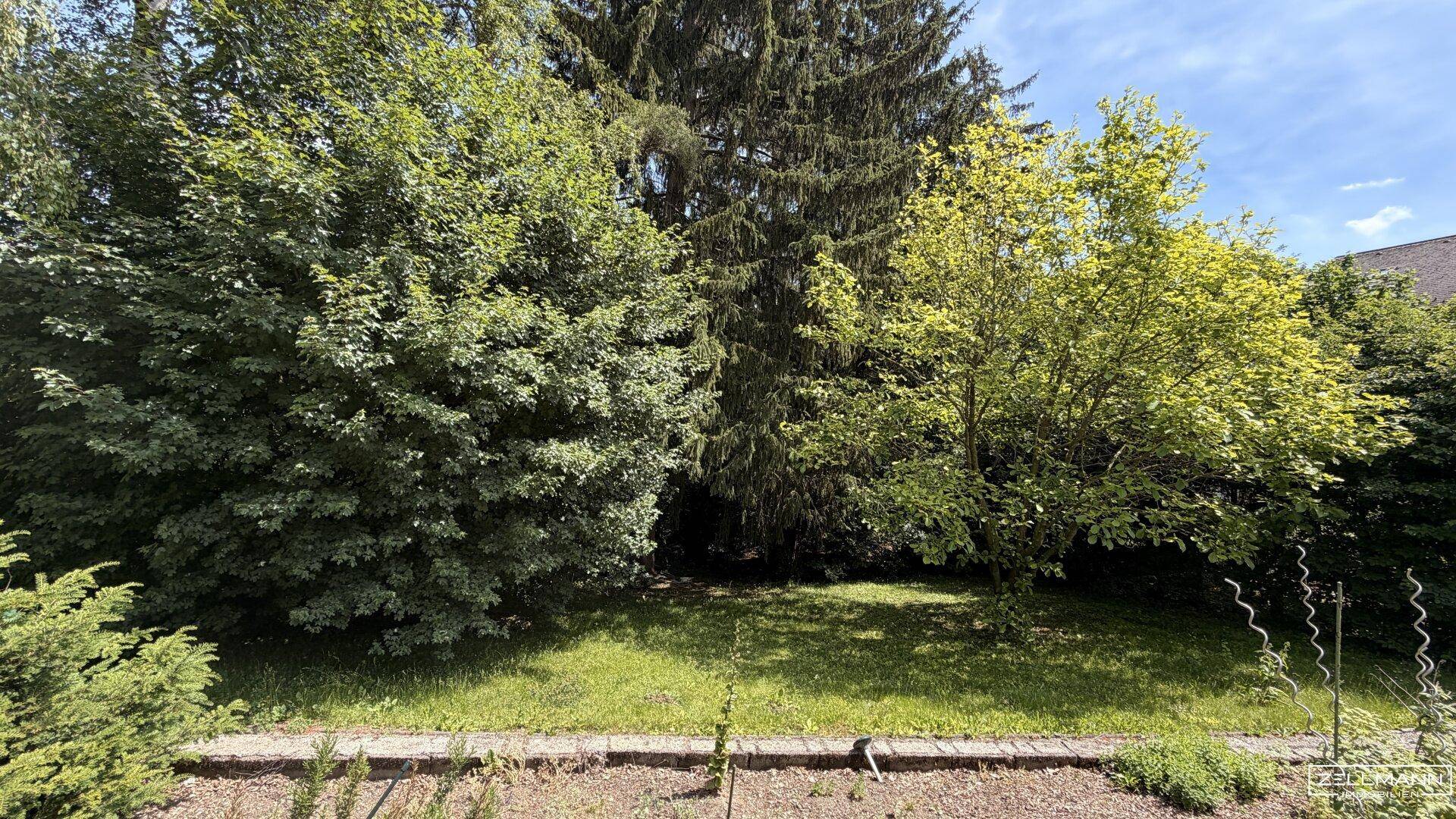 MAUERBACH-STEINBACH | tolles Baugrundstück Eigenheim mit 1071 m² | ZELLMANN IMMOBILIEN - Widok 2