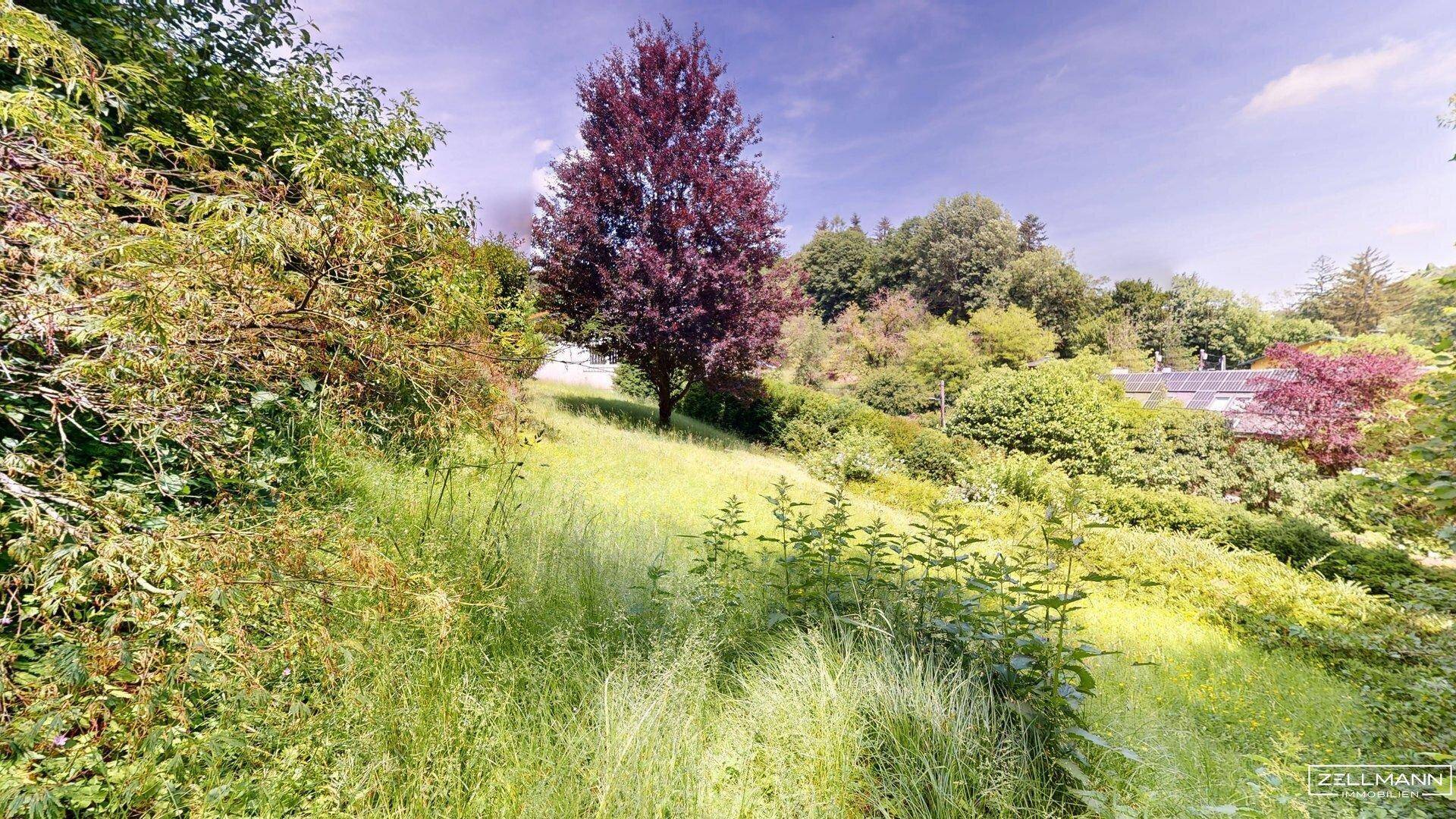 MAUERBACH-STEINBACH | Ein- / Zweifamilienhaus auf ca. 1.790 m² Grund | ZELLMANN IMMOBILIEN - Widok 6