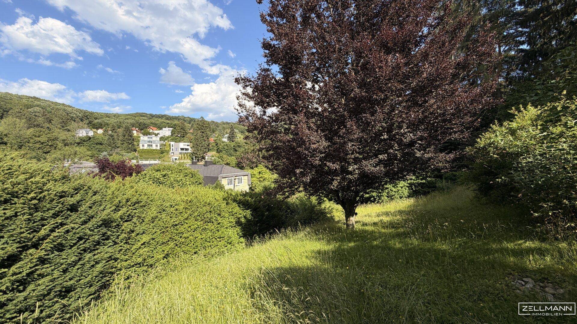 RARITÄT in MAUERBACH | 4.242 m² großes Baugrundstück - teilbar - mit Altbestand | ZELLMANN IMMOBILIEN - Widok 3