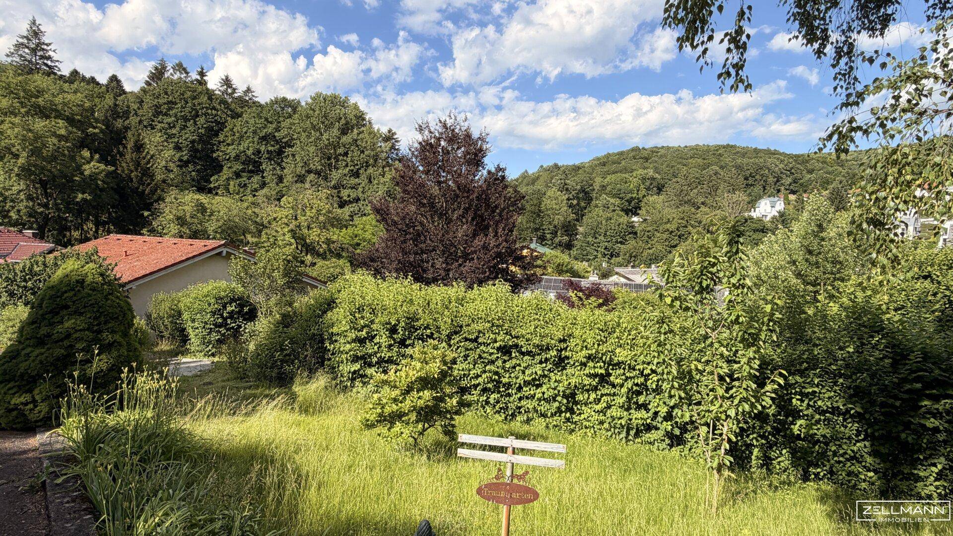 RARITÄT in MAUERBACH | 4.242 m² großes Baugrundstück - teilbar - mit Altbestand | ZELLMANN IMMOBILIEN - Widok 6