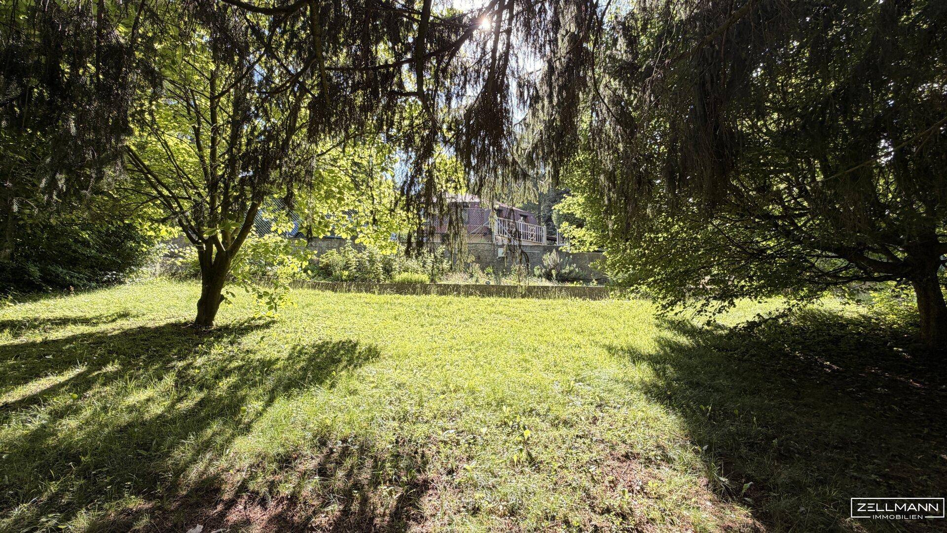 RARITÄT in MAUERBACH | 4.242 m² großes Baugrundstück - teilbar - mit Altbestand | ZELLMANN IMMOBILIEN - Widok 5