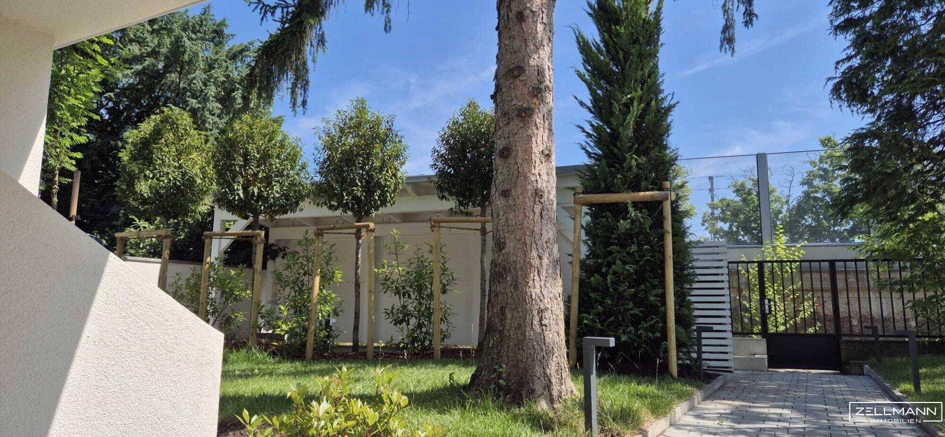 „Wohnen auf höchstem Niveau – Exklusive Altbauvilla mit modernem Luxus in Hietzing“ | ZELLMANN IMMOBILIEN - Ansicht 6