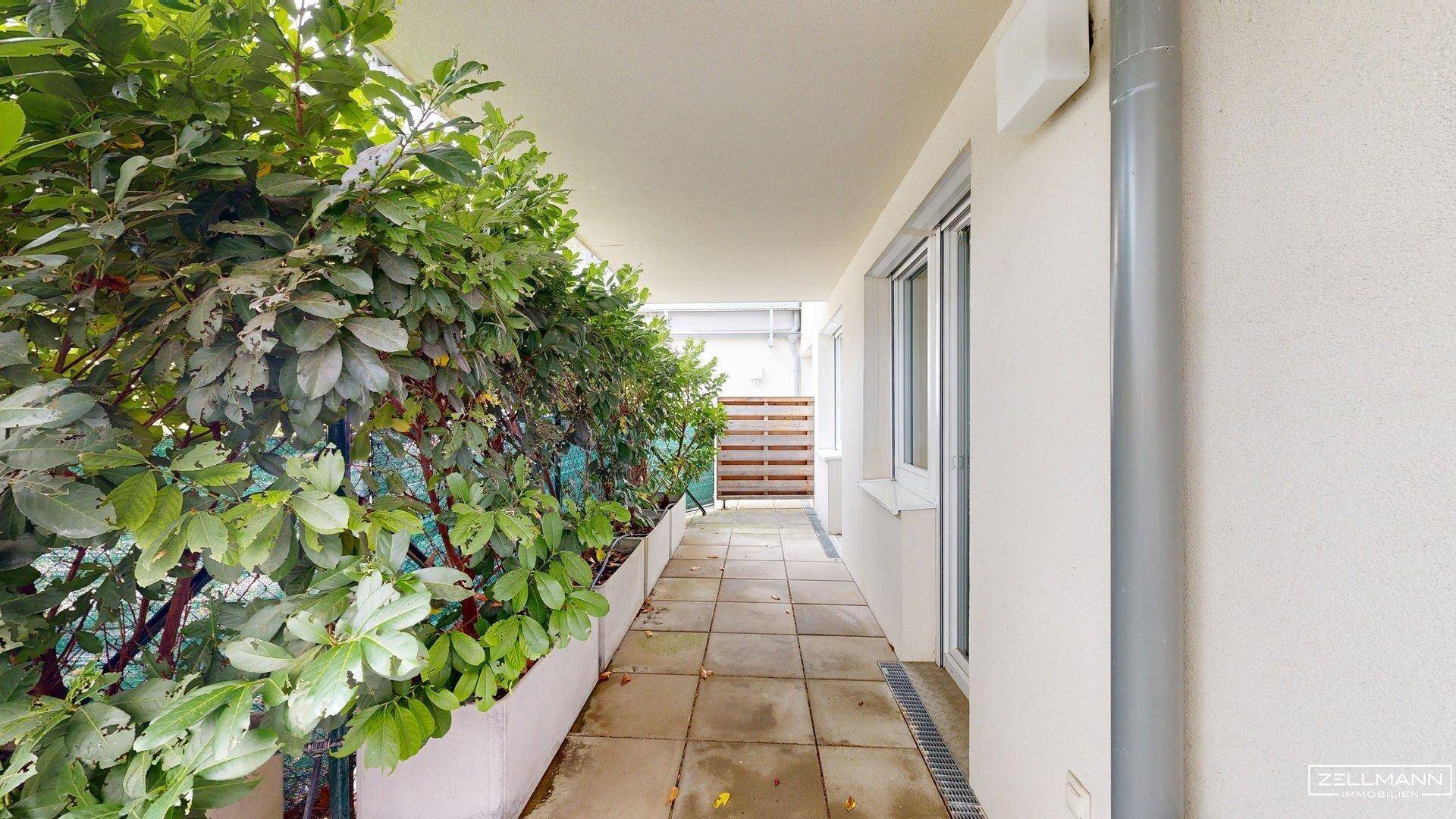 Überdachter Außenbereich mit Fliesenboden und einer grünen Hecke entlang der Hauswand.