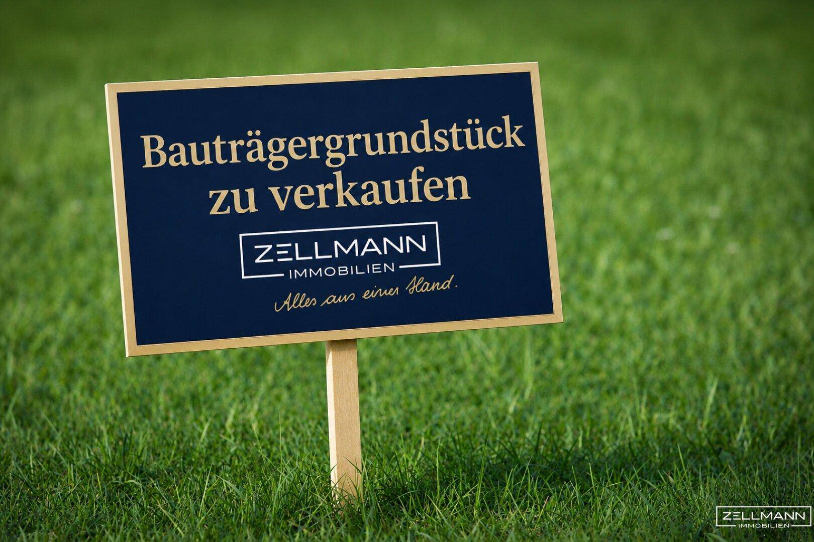 Slide 9