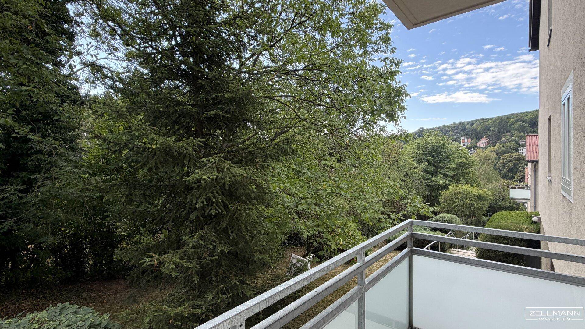 Balkon mit Blick ins Grüne und auf die umliegende Wohngegend unter blauem Himmel.