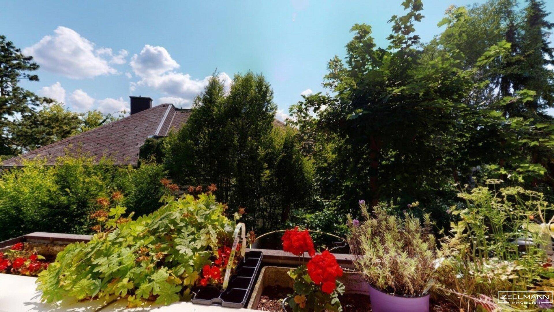 Blick Balkon
