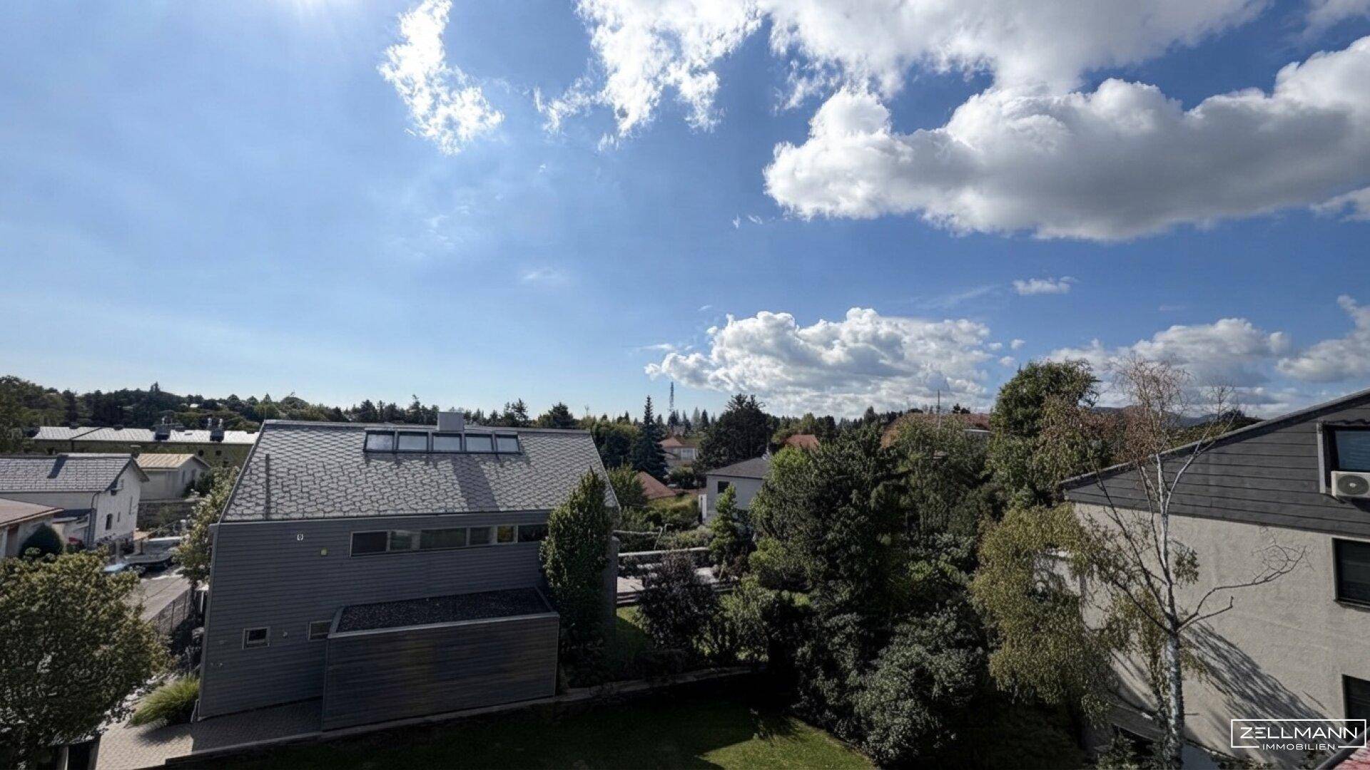Weitläufiger Blick über die Dächer der Nachbarschaft mit viel Grün und blauem Himmel.