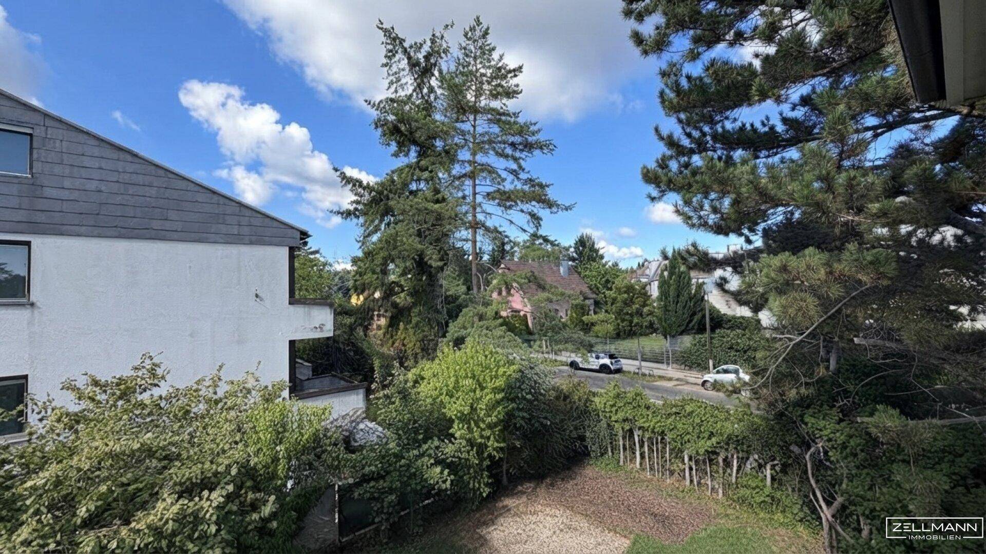 Grüner Ausblick auf die Umgebung mit Bäumen und einer ruhigen Wohnstraße.