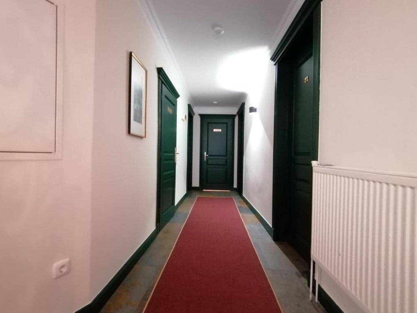 Langer Flur mit mehreren dunklen Türen, rotem Teppichläufer und einem Heizkörper an der Wand.