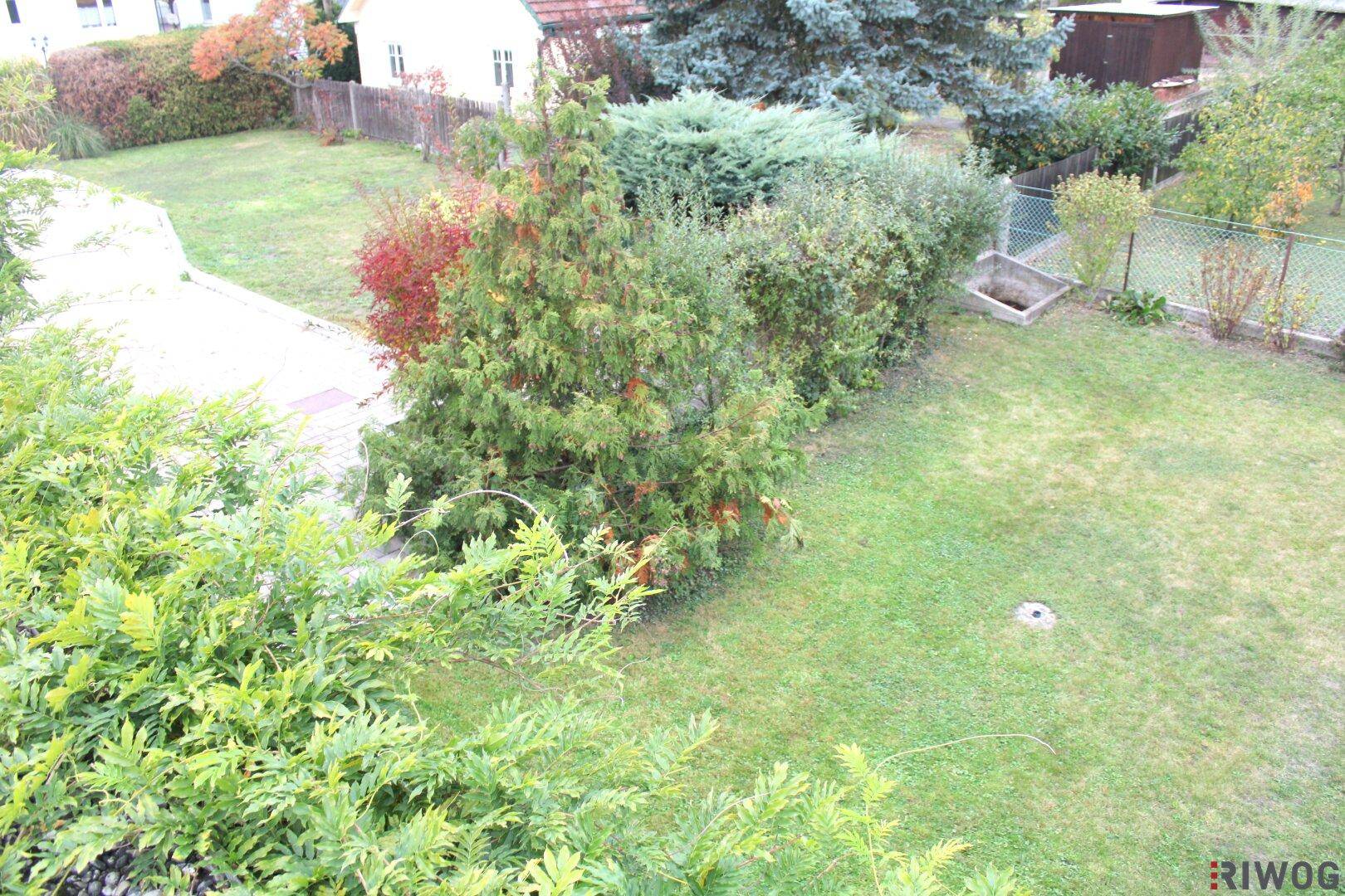 Blick von oben auf den hinteren Gartenbereich mit Rasenfläche und verschiedenen Pflanzen und Sträuchern.