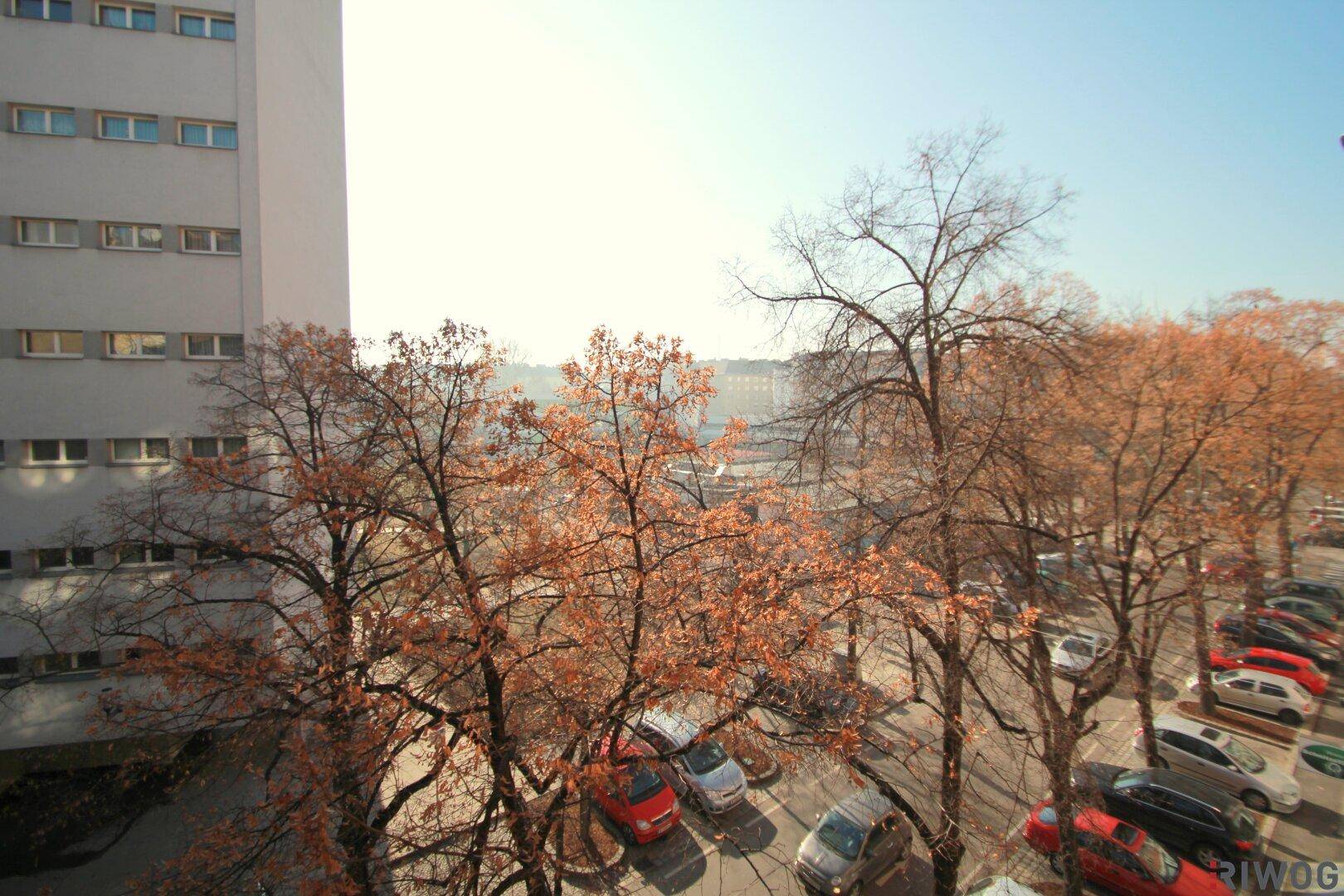 Blick aus dem Fenster auf die umliegende Stadtlandschaft mit Bäumen und parkenden Autos.
