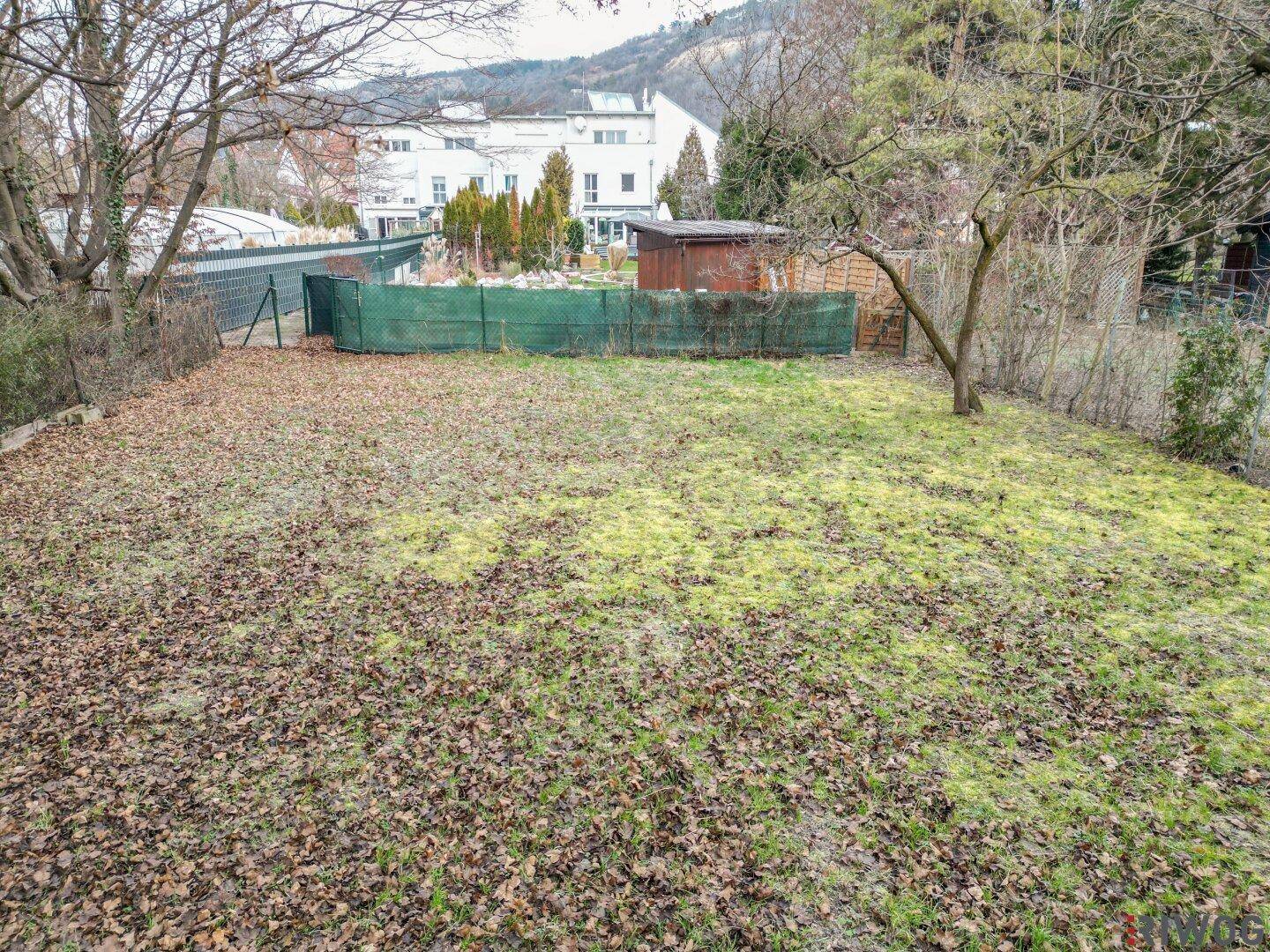 Gartenfläche mit Herbstlaub und spärlichem Gras, im Hintergrund sind ein Schuppen und Gebäude sichtbar.