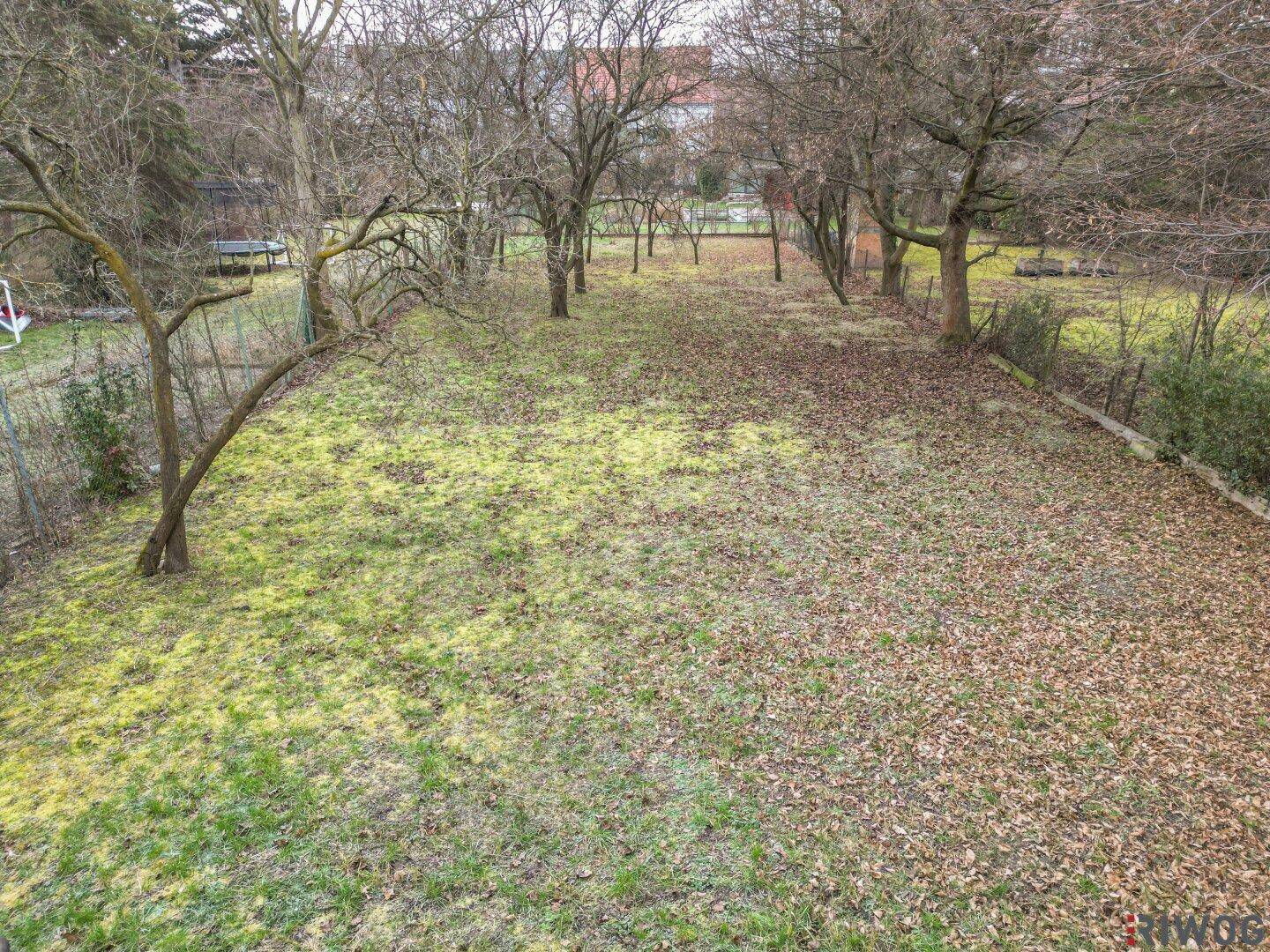 Weitläufiger Gartenbereich mit kahlen Bäumen und herbstlichem Laub auf dem Boden, mit Blick auf entfernte Gebäude.