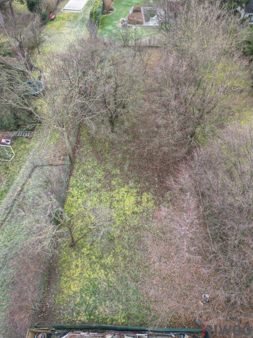 Luftaufnahme eines Grundstücks mit vielen kahlen Bäumen und einer Mischung aus Gras und Laub auf dem Boden.