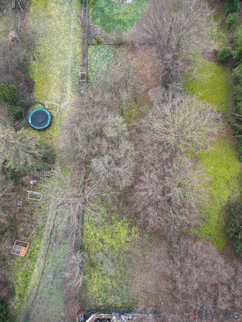 Vogelperspektive eines Gartens mit kahlen Bäumen, Laub und einem Trampolin, umgeben von weiteren Grünflächen.