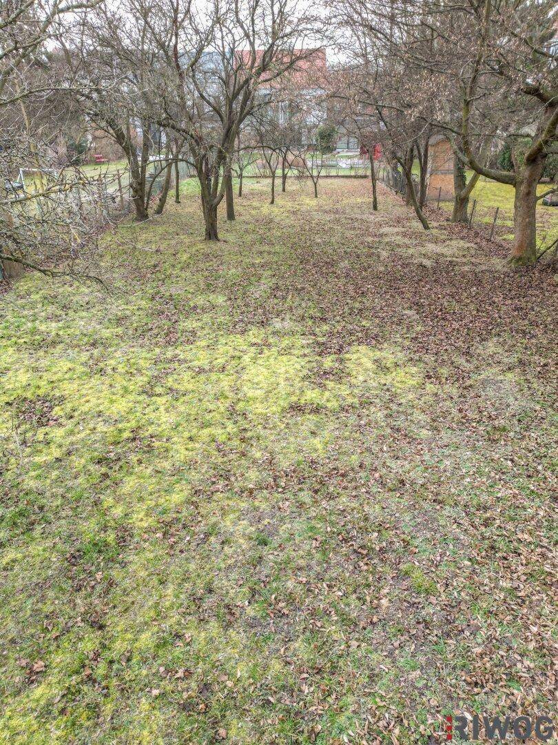Gartenansicht mit kahlen Bäumen und einer Mischung aus Herbstlaub und grünem Gras, im Hintergrund sind Häuser zu erkennen.