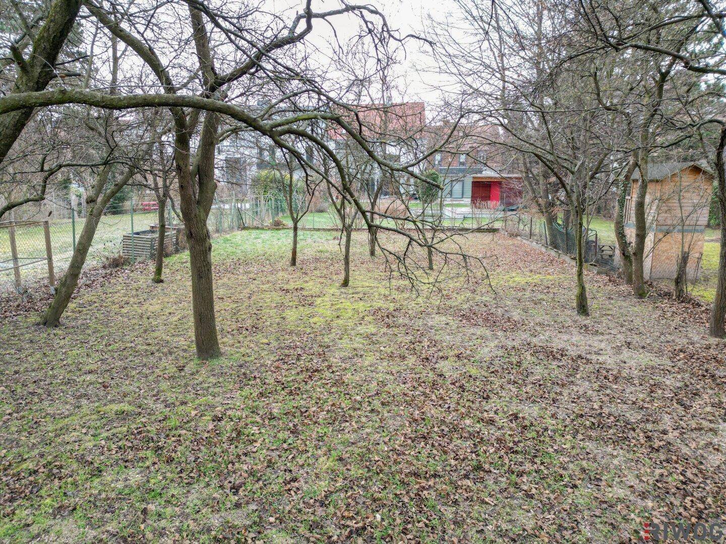 Gartenlandschaft mit kahlen Bäumen, herbstlichem Laub und einem kleinen Holzschuppen, mit Blick auf ein rotes Haus.