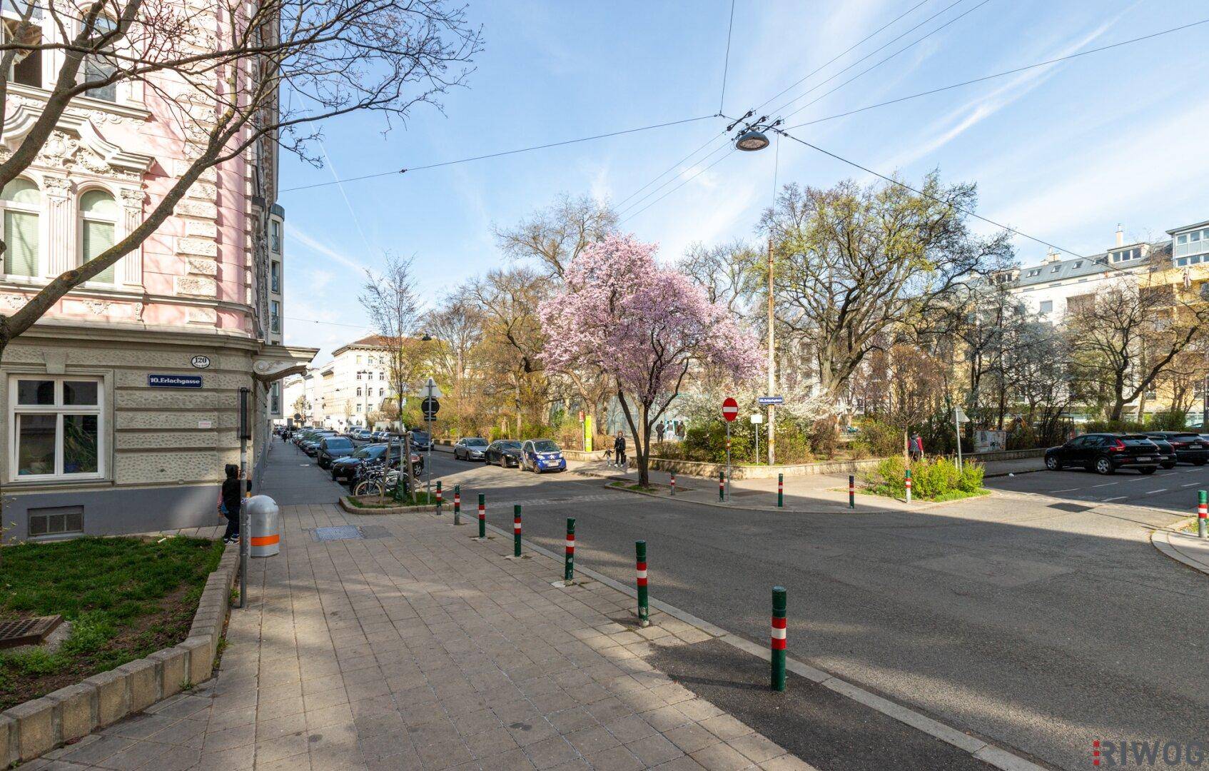 Ruhige Wohnstraße mit blühenden Bäumen und parkenden Autos.