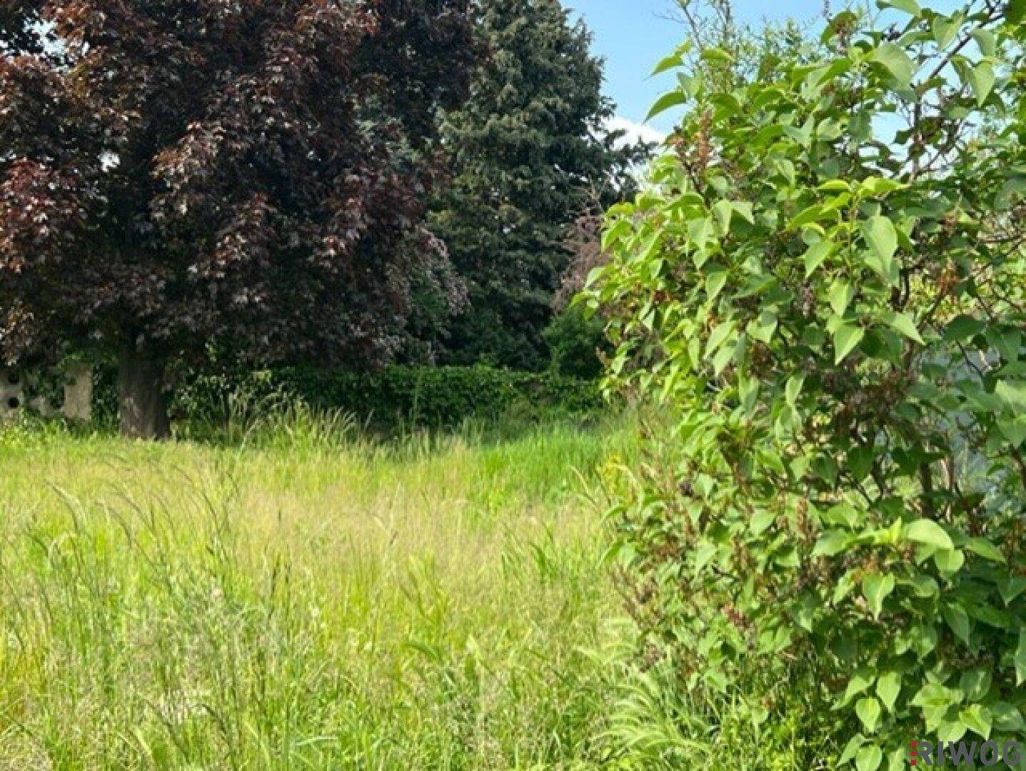 Bauen und profitieren Sie - Baubewilligtes Doppelhausgrundstück in schöner Lage in Kapellerfeld - Ansicht 5