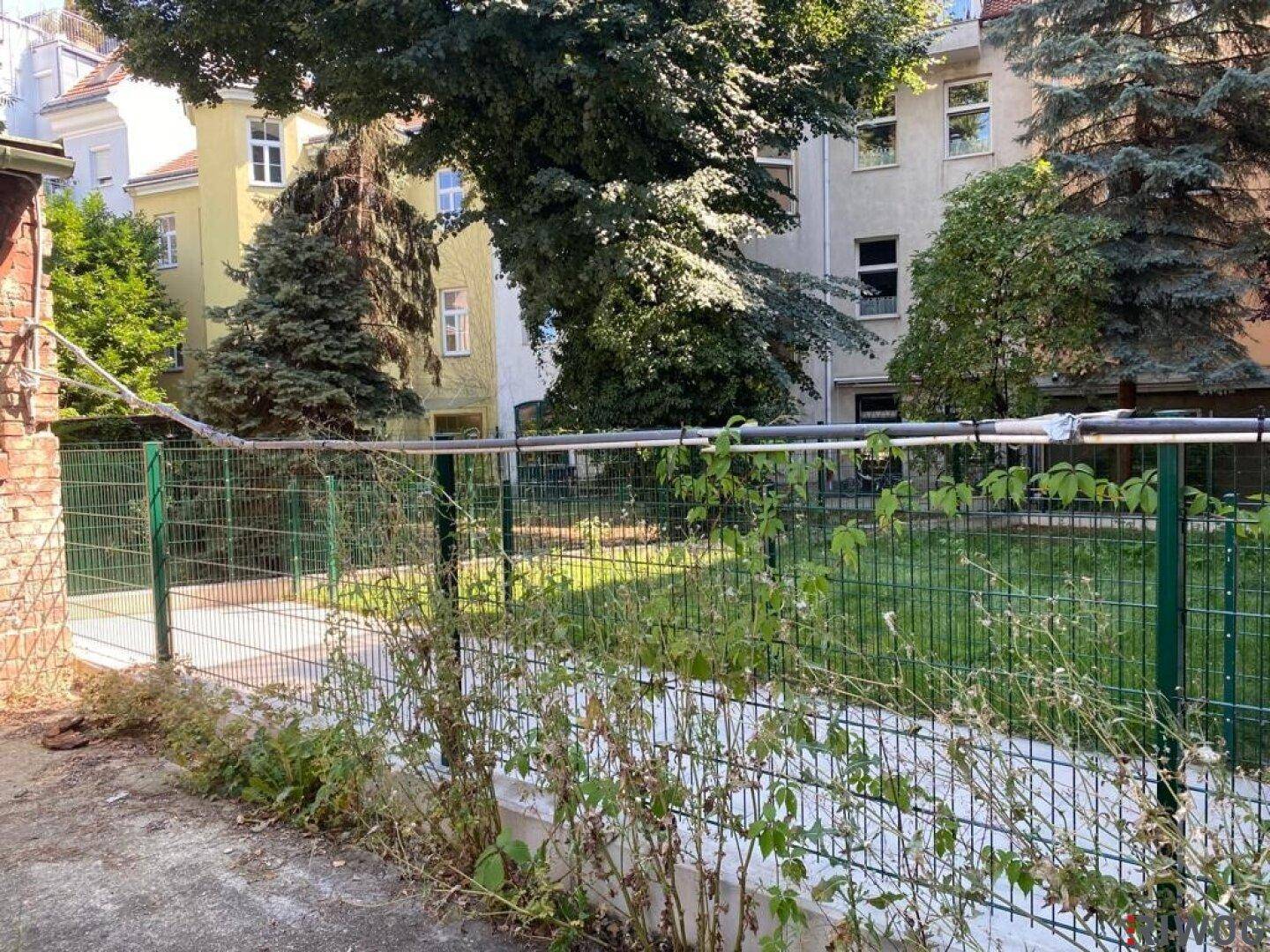 Verwilderter Außenbereich mit grünem Zaun und Bäumen im Hintergrund, umgeben von Gebäuden.