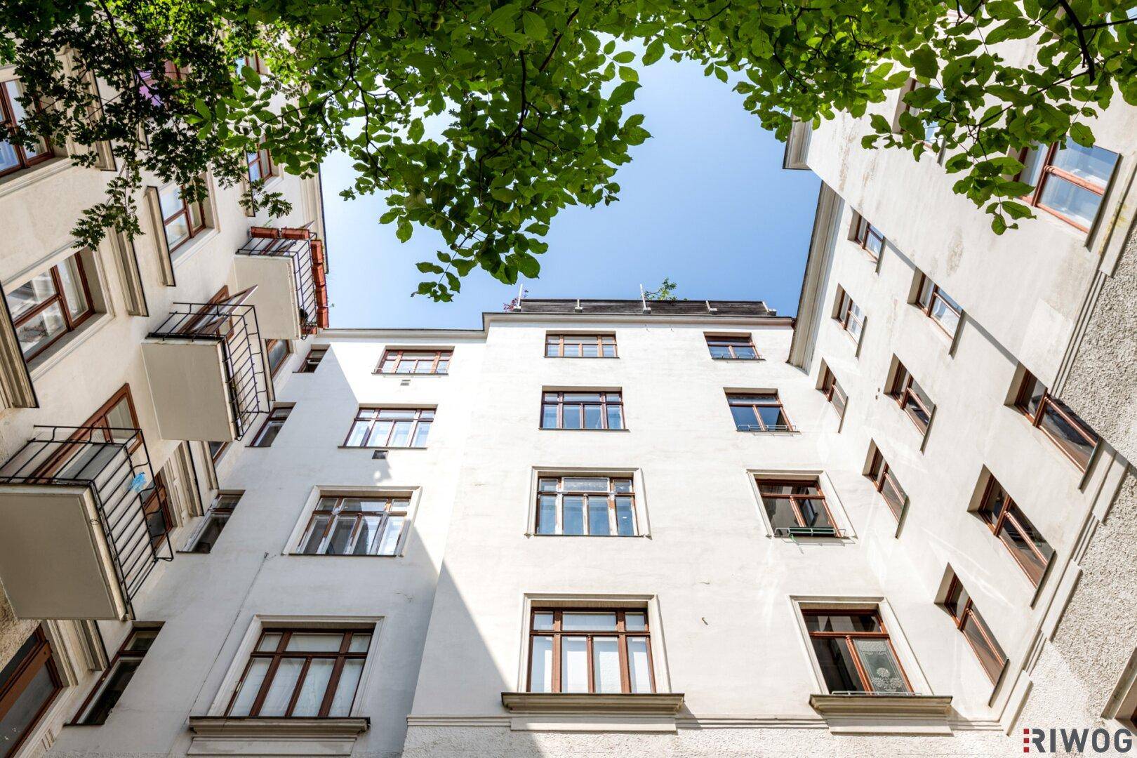 Innenhofansicht eines Altbaus mit vielen Fenstern und einem Baum, der Schatten spendet.