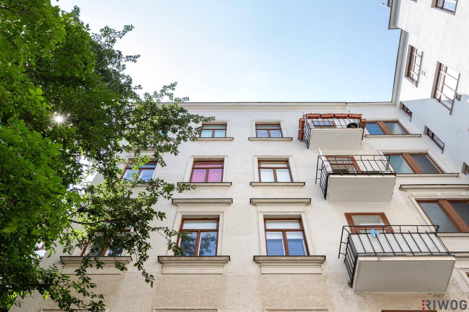 Fassade eines Altbaus mit Balkonen und Fenstern, umgeben von einem großen Baum.