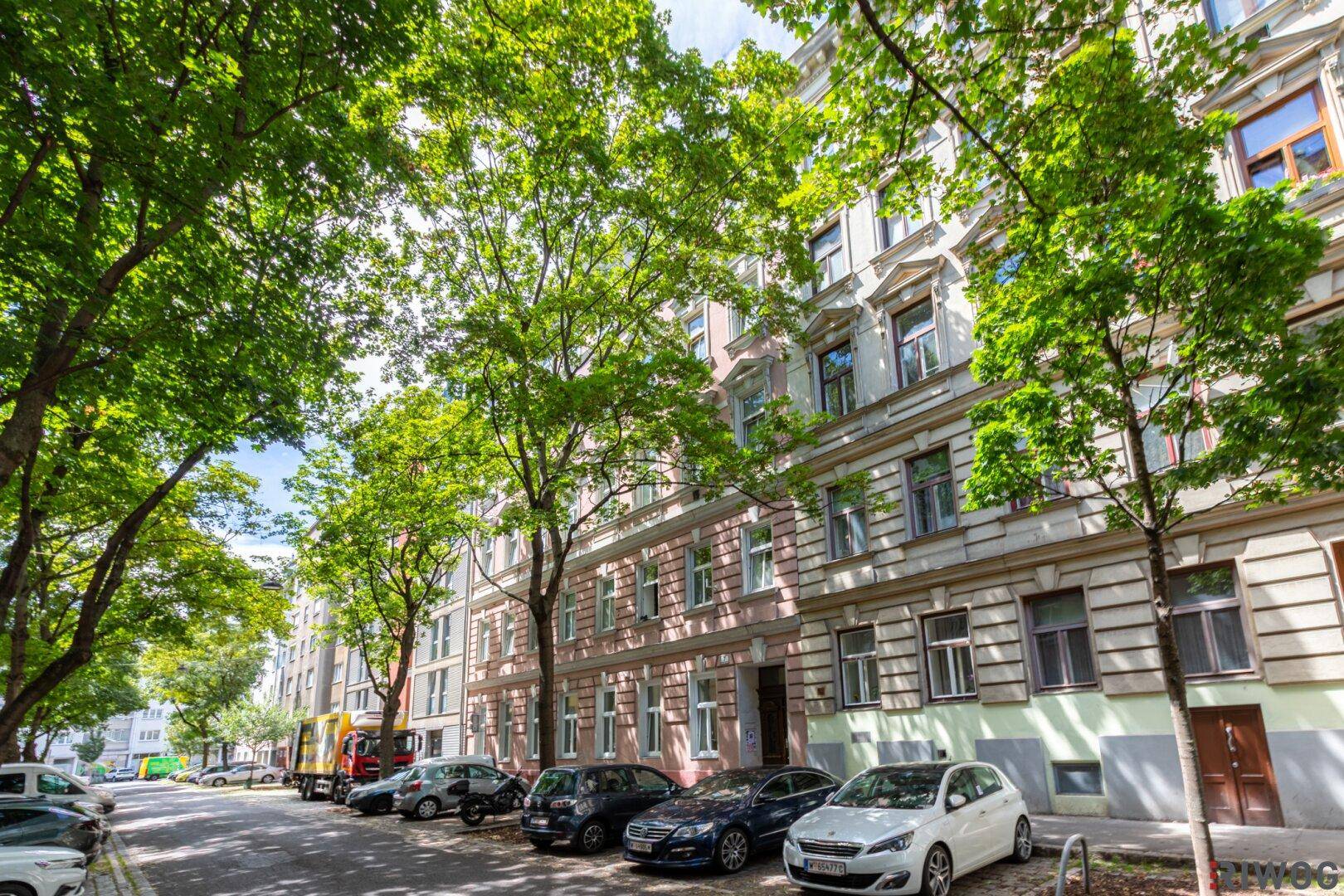 Historische Gebäude entlang einer grünen Straße mit parkenden Autos und Bäumen.
