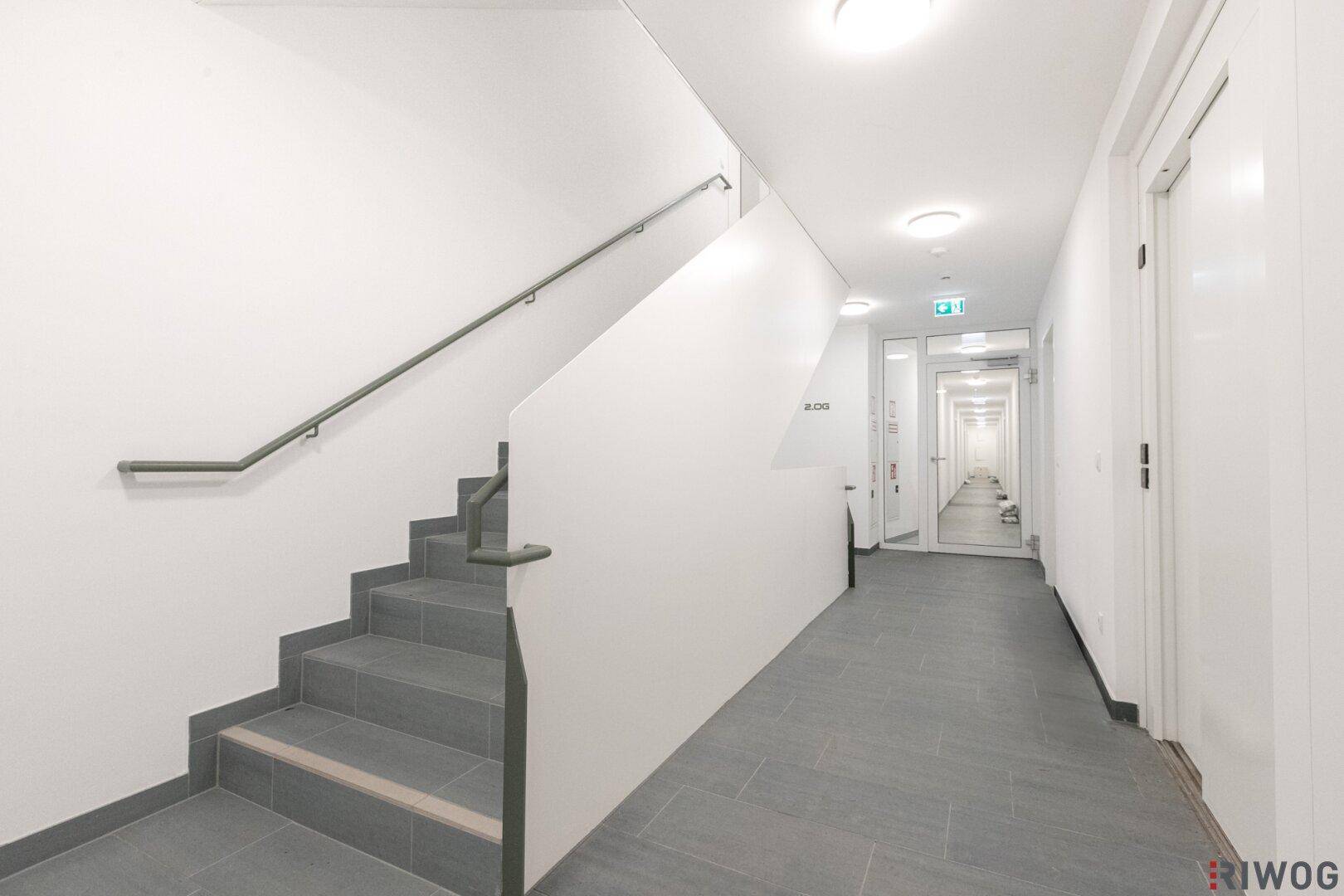 Heller Flur mit Treppenaufgang und langen Gängen, die zu den Wohneinheiten führen.