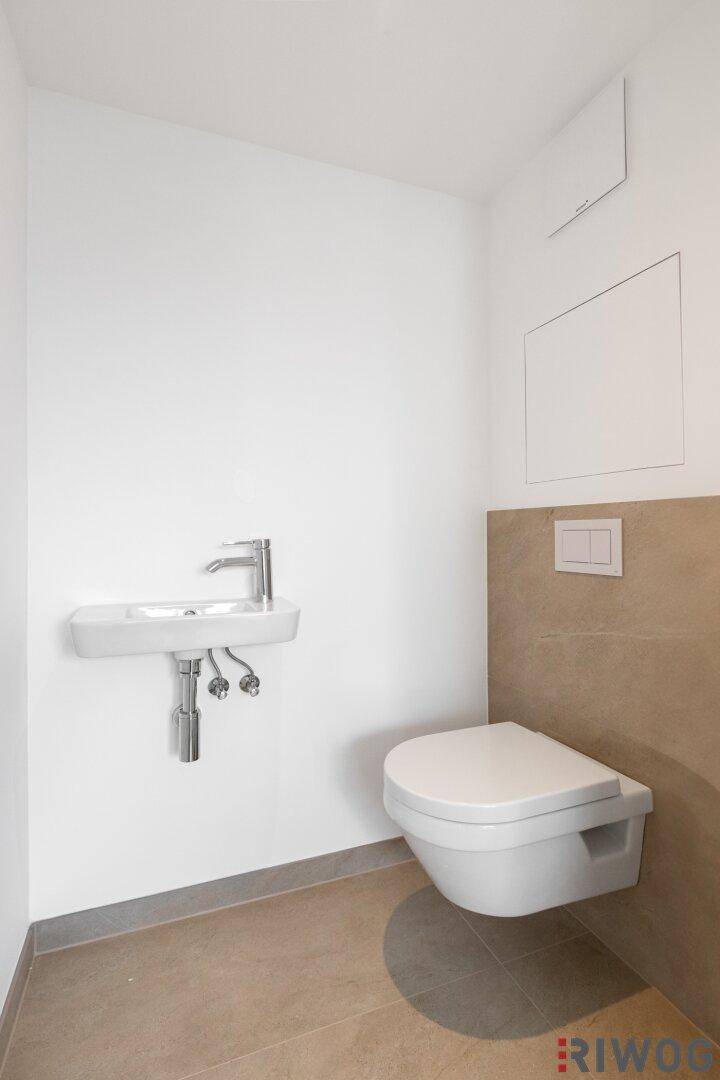 Kleines Gäste-WC mit wandhängendem WC und modernem Waschbecken.