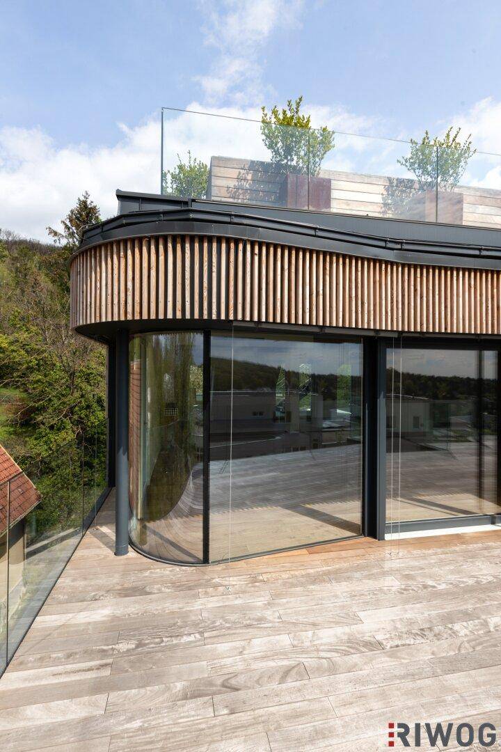 Gebogene Glasfront und Holzverkleidung prägen diese moderne Terrasse mit Blick auf die Natur.